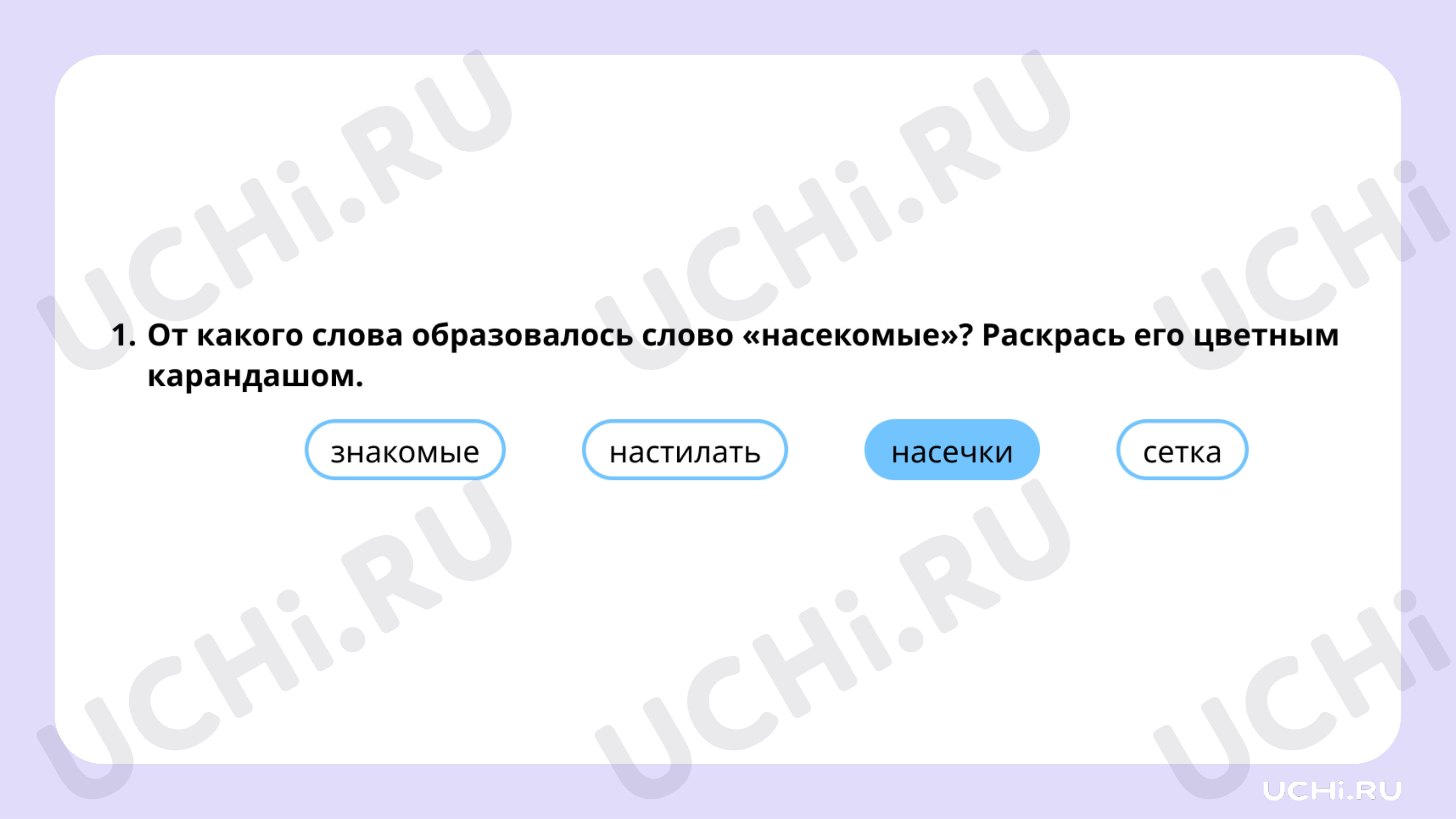 Рабочие листы по теме «Насекомые: сравнение, краткое описание внешнего  вида». Базовый уровень: Насекомые: сравнение, краткое описание внешнего  вида | Учи.ру