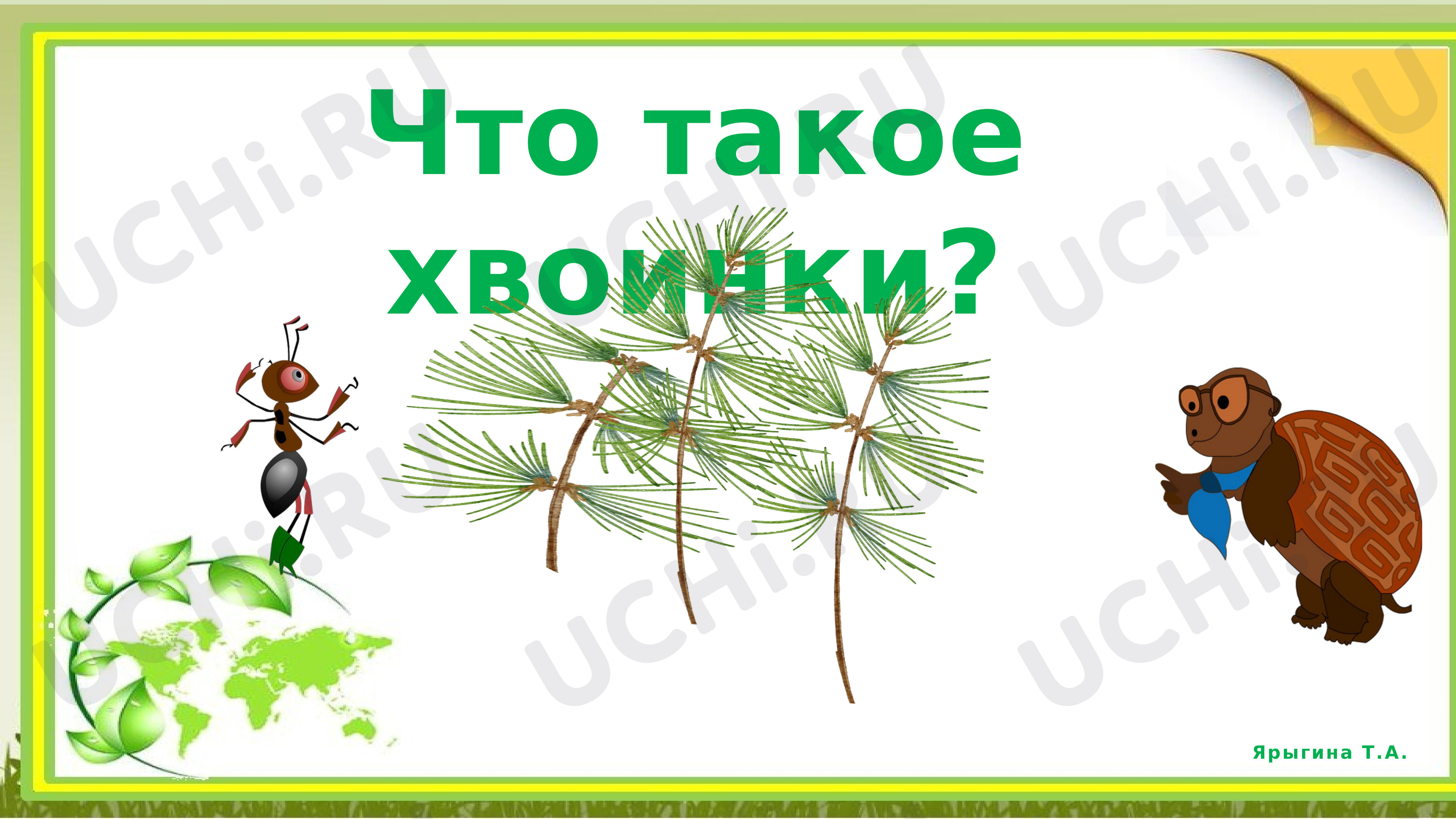 Предпросмотр материала Презентация к уроку по окружающему миру. Что такое хвоинки?