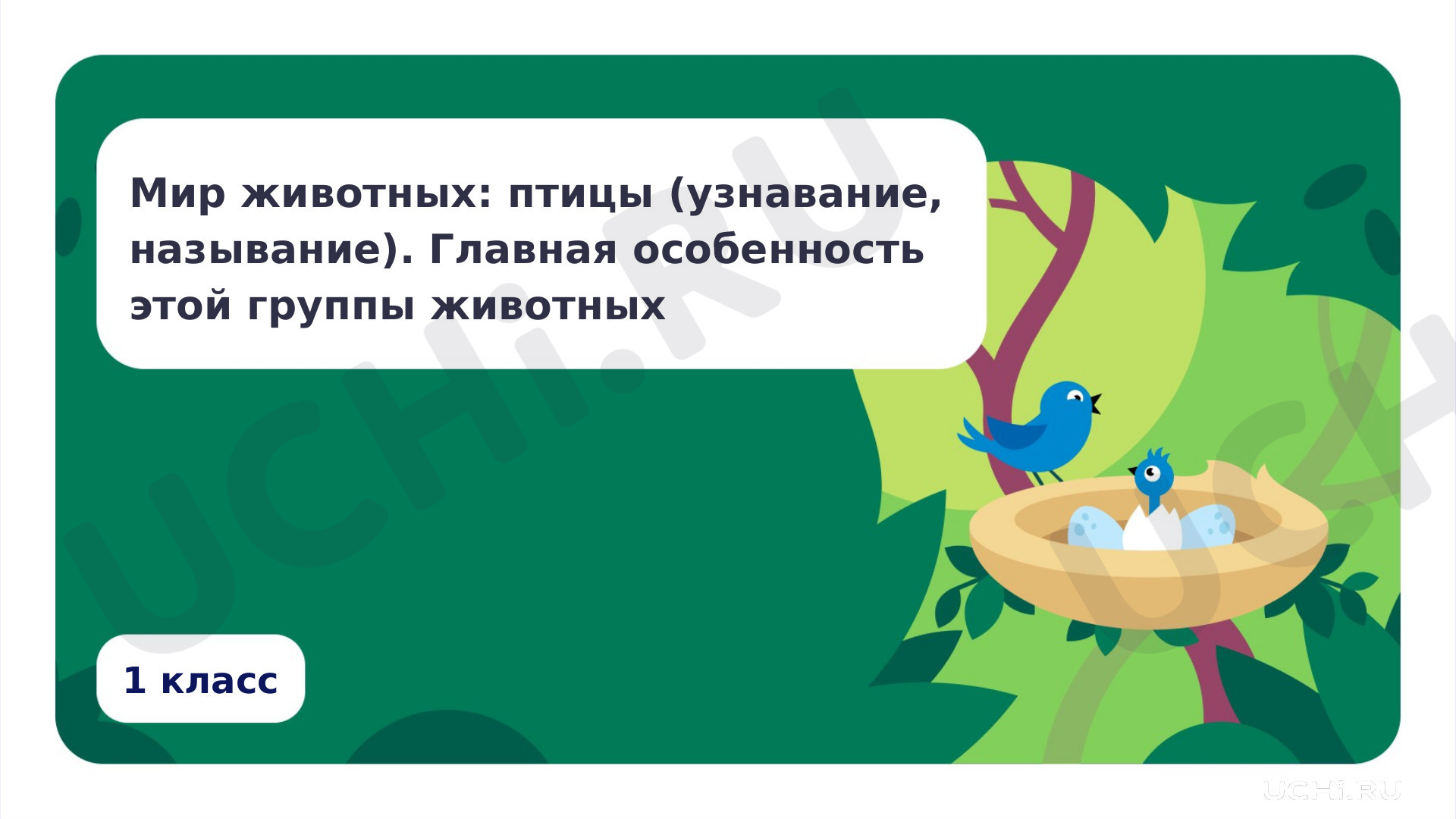 Предпросмотр материала Мир животных: птицы