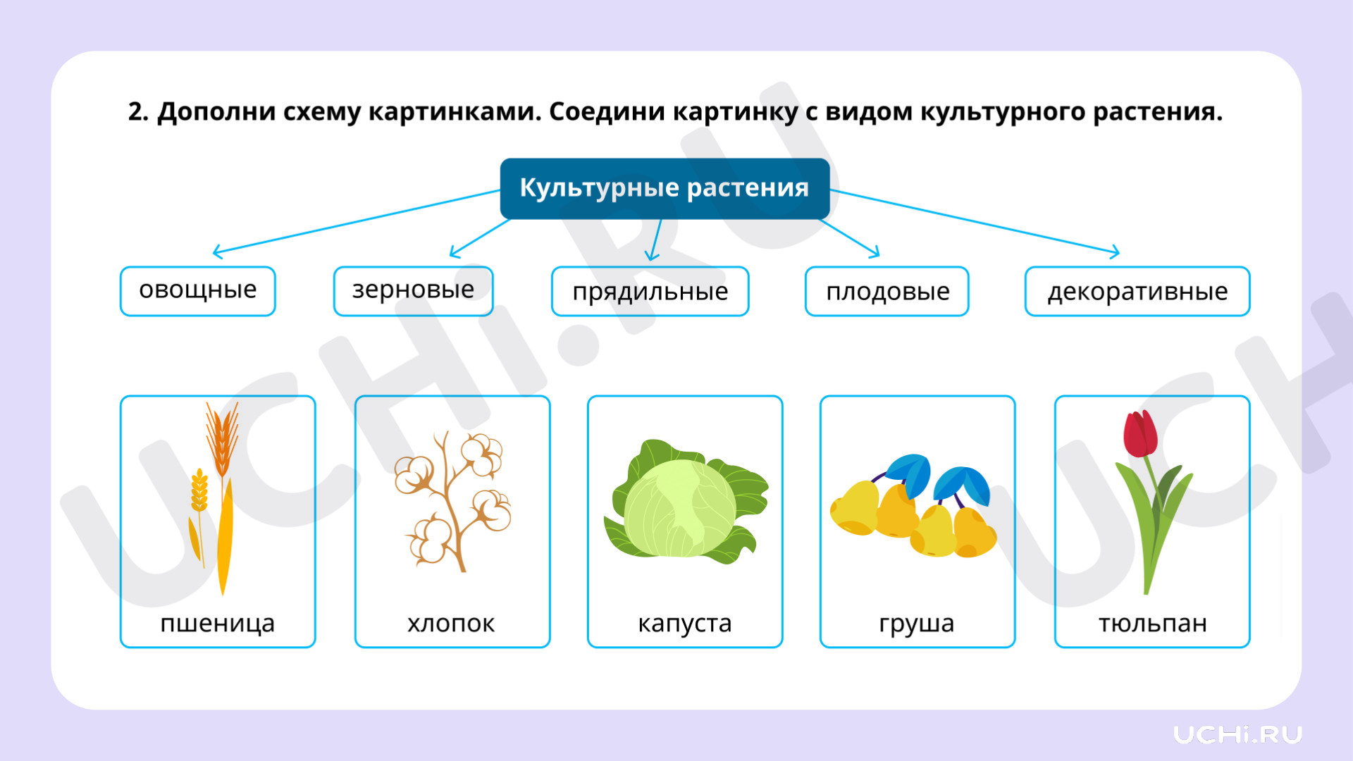 Культурные растения должны быть чётко обозначены