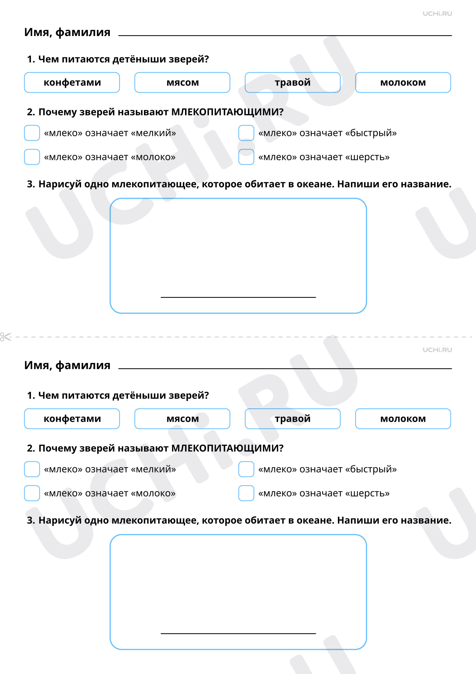 Рабочие листы по теме «Мир животных. Чем похожи все звери: главная  особенность этой группы животных. Забота зверей о своих детёнышах». Базовый  уровень: Мир животных: чем похожи все звери: главная особенность этой группы