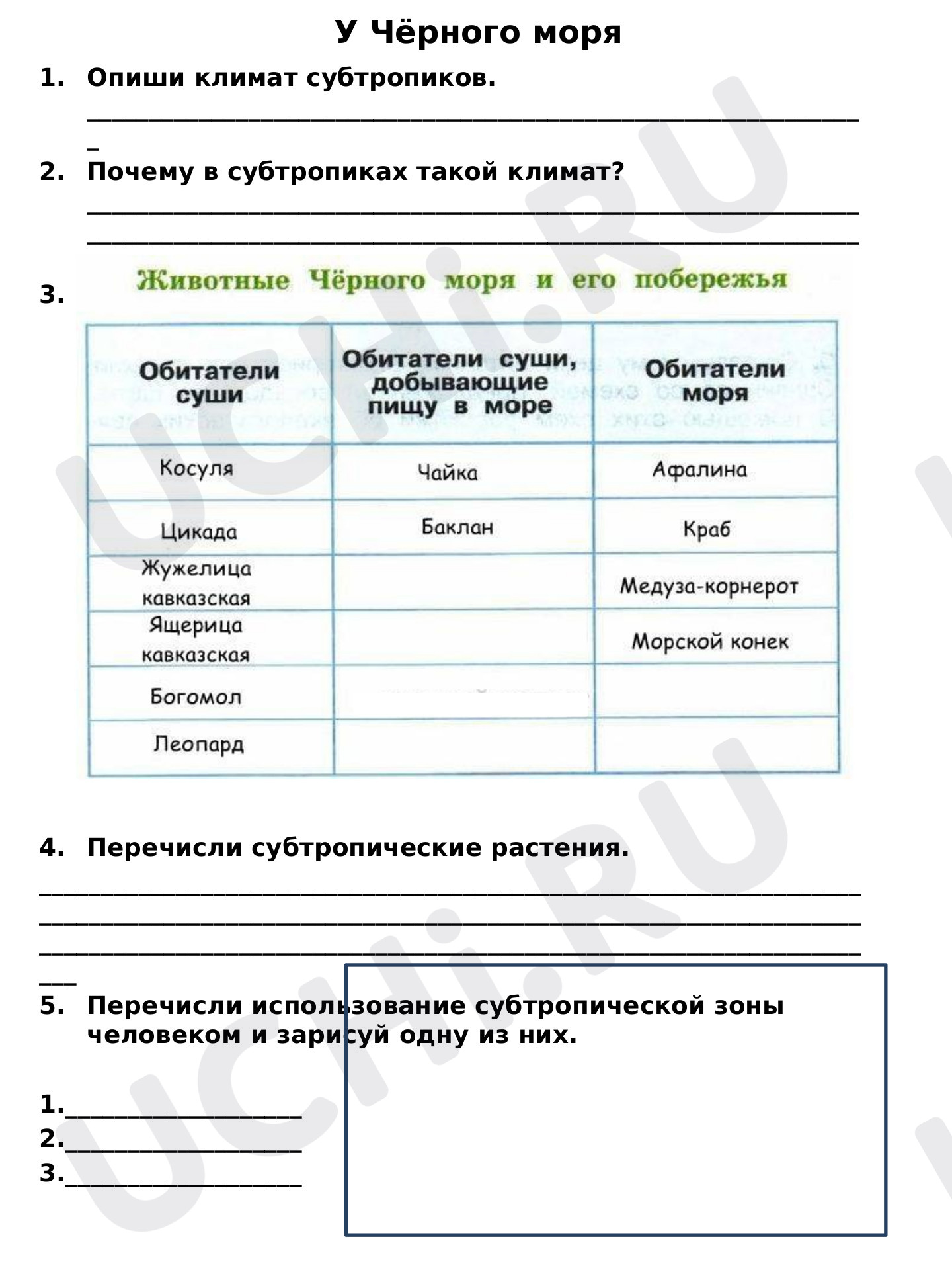 Предпросмотр материала Рабочий лист к уроку окружающего мира по теме: "У черного моря"