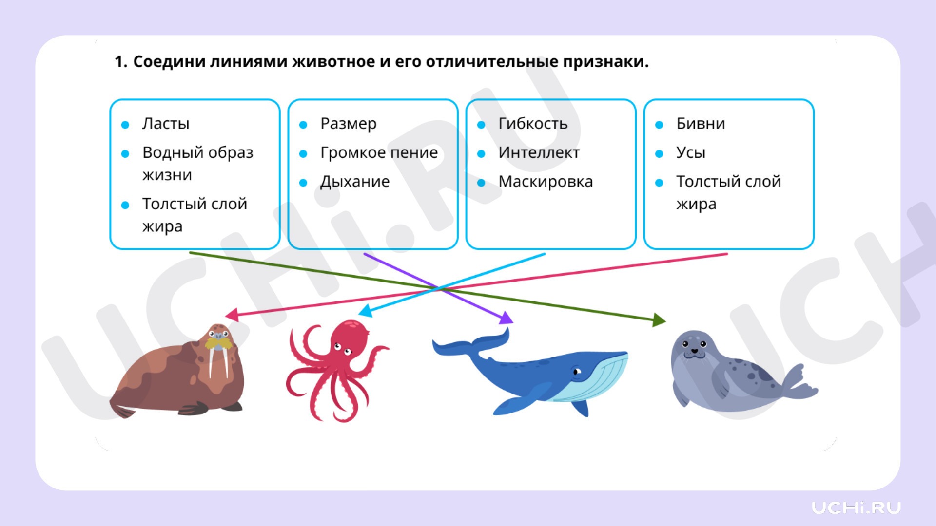 Окружающий мир для 2 четверти 1 класса. ЭОР | Подготовка к уроку от Учи.ру