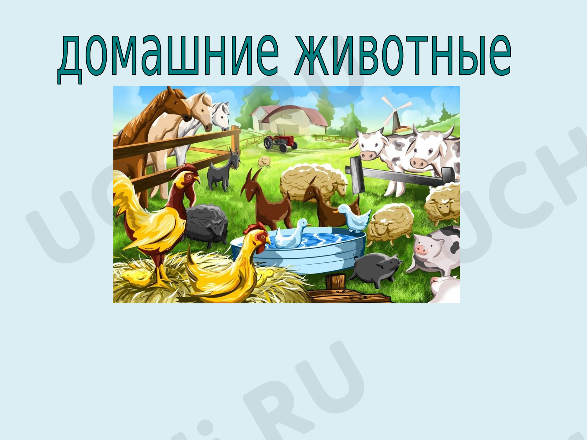 Предпросмотр материала Презентация к уроку окружающего мира. Домашние животные