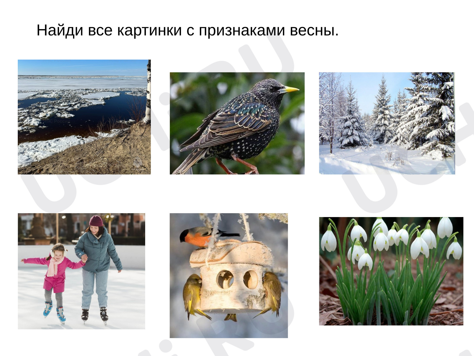 Предпросмотр материала Презентация к фрагменту урока окружающего мира. Игра «Признаки весны».