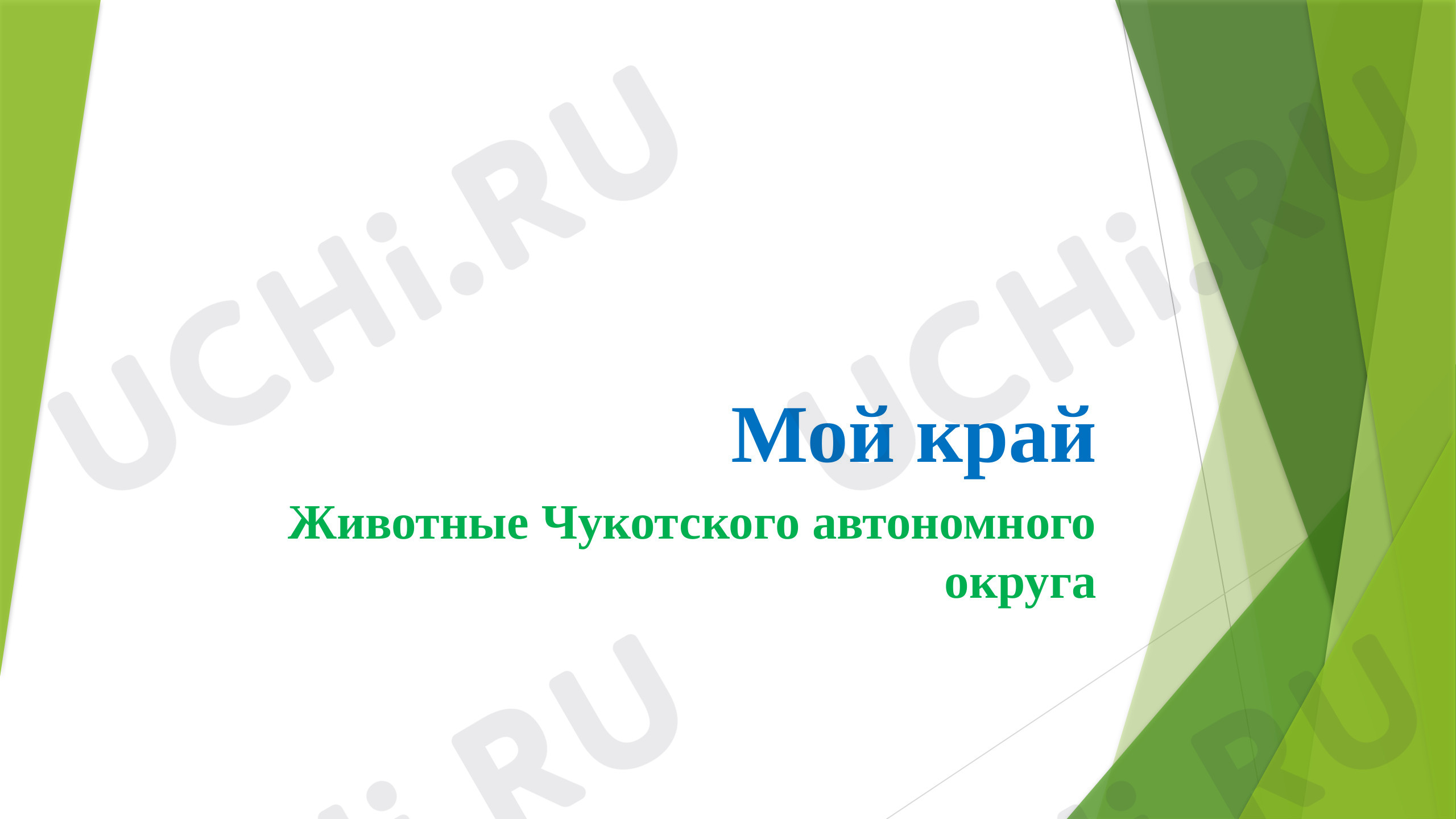 Предпросмотр материала Животные Чукотки