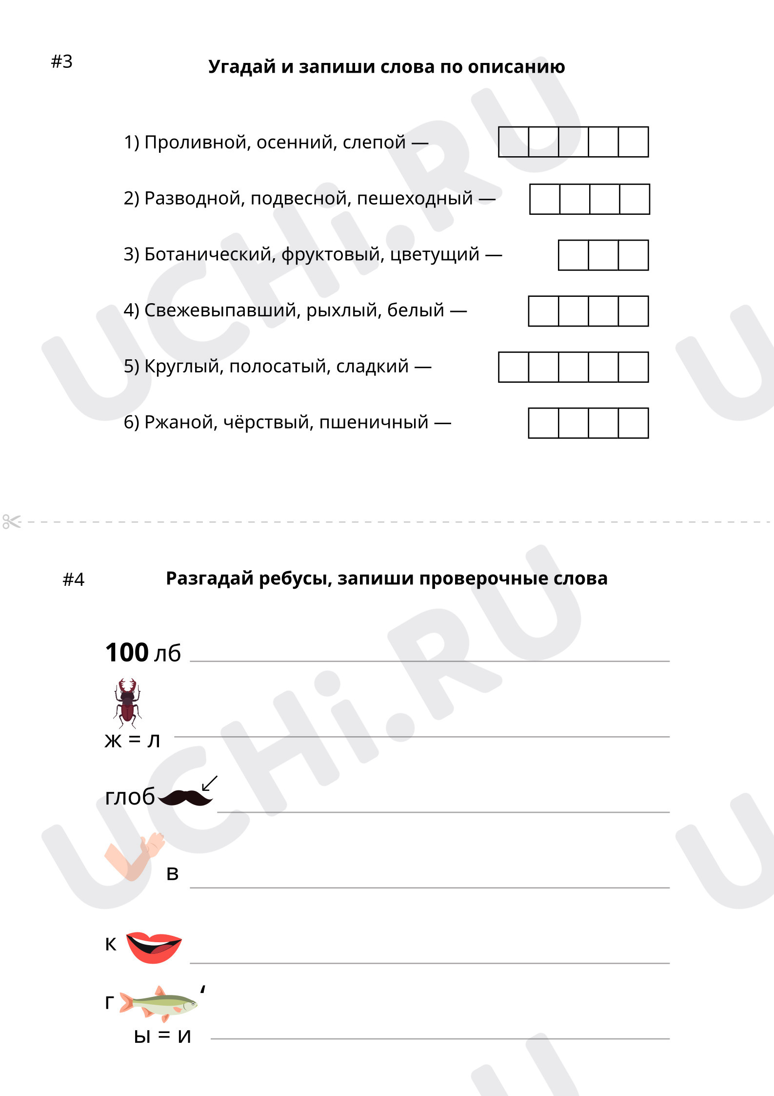 Раздаточный материал: Проверка знаний | Учи.ру