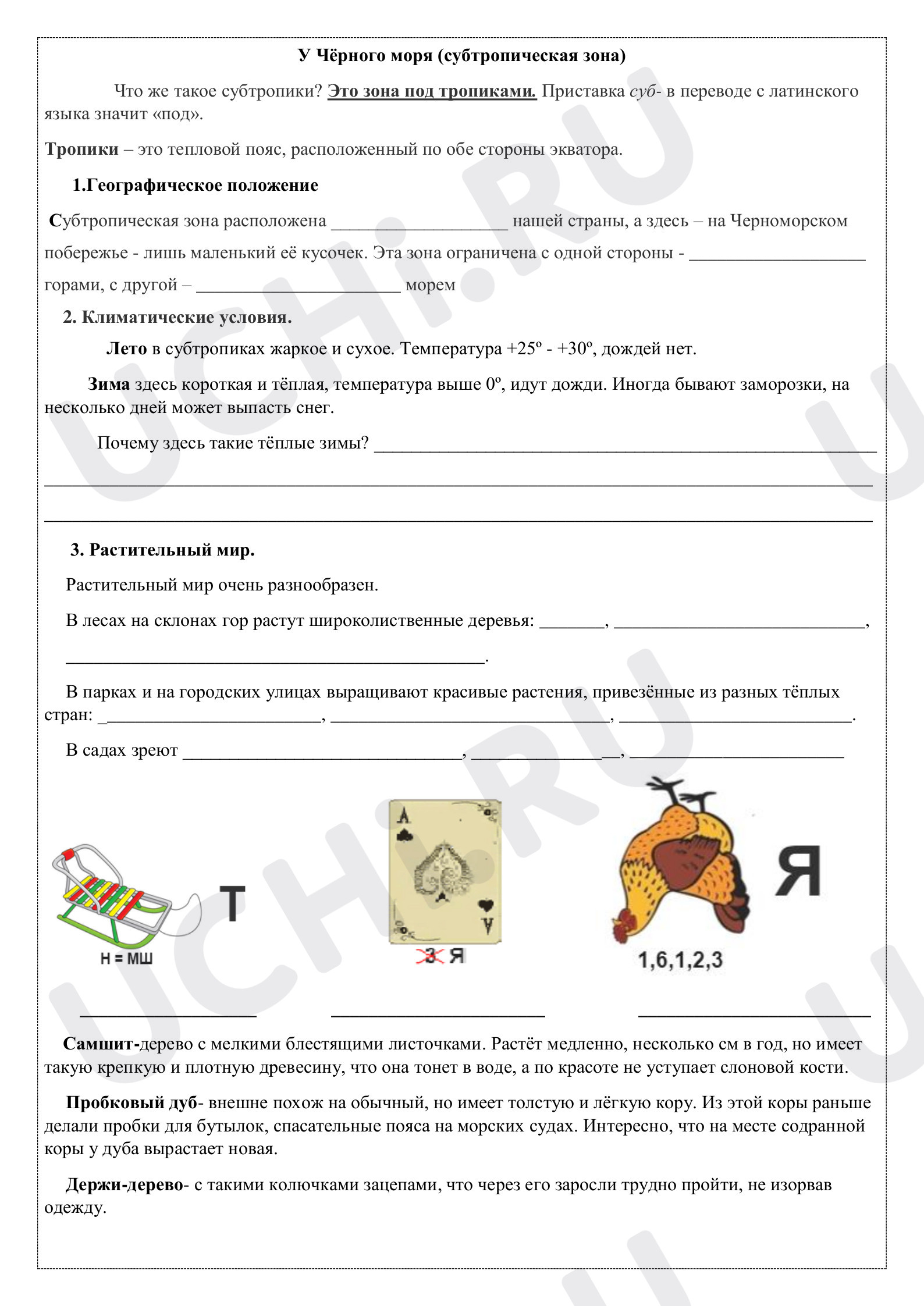 Предпросмотр материала Рабочий лист к уроку окружающего мира по теме: "Природные зоны. У Чёрного моря"