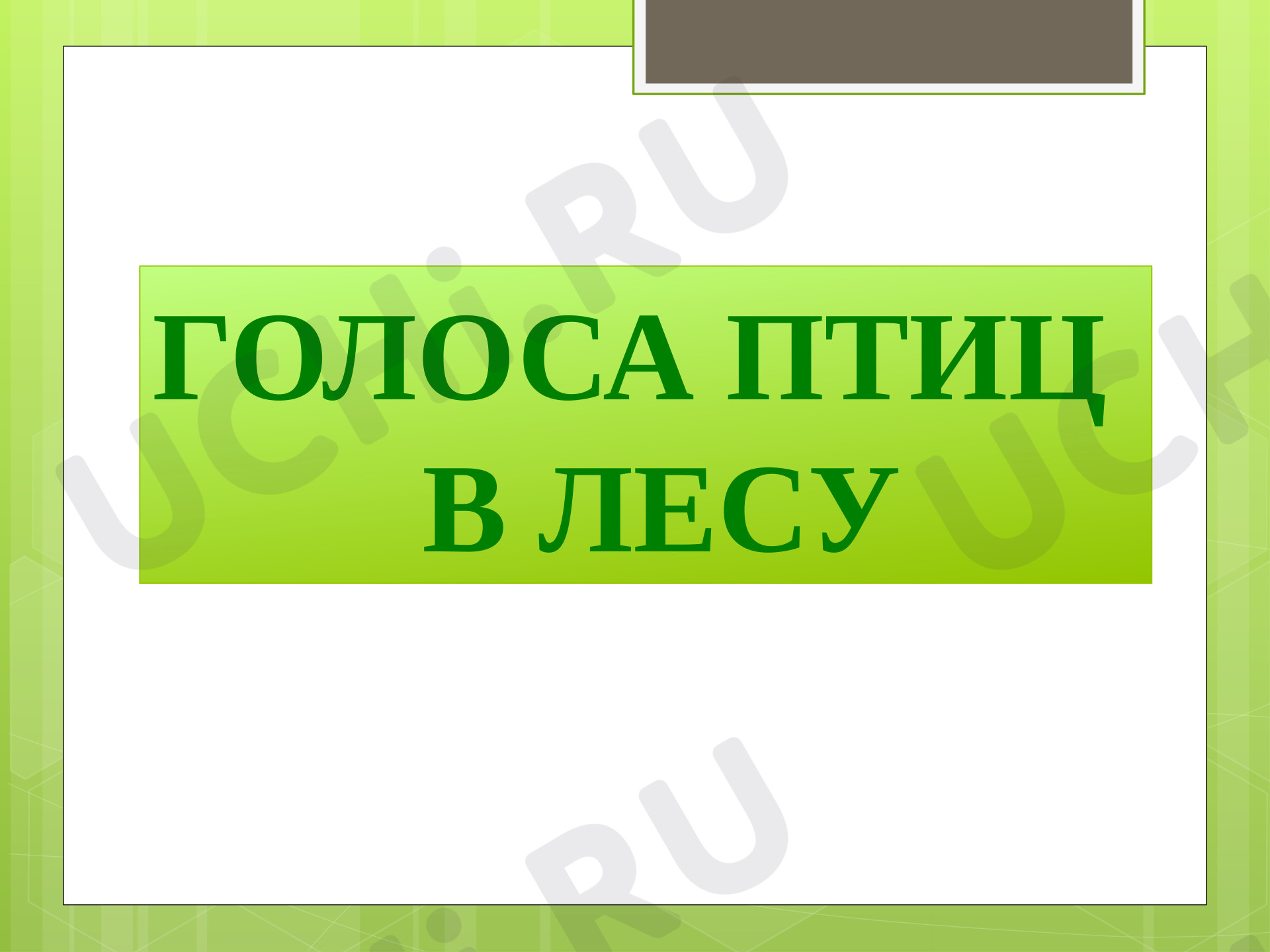 Предпросмотр материала Презентация к уроку по окружающему миру. Кто такие птицы. Голоса в лесу.