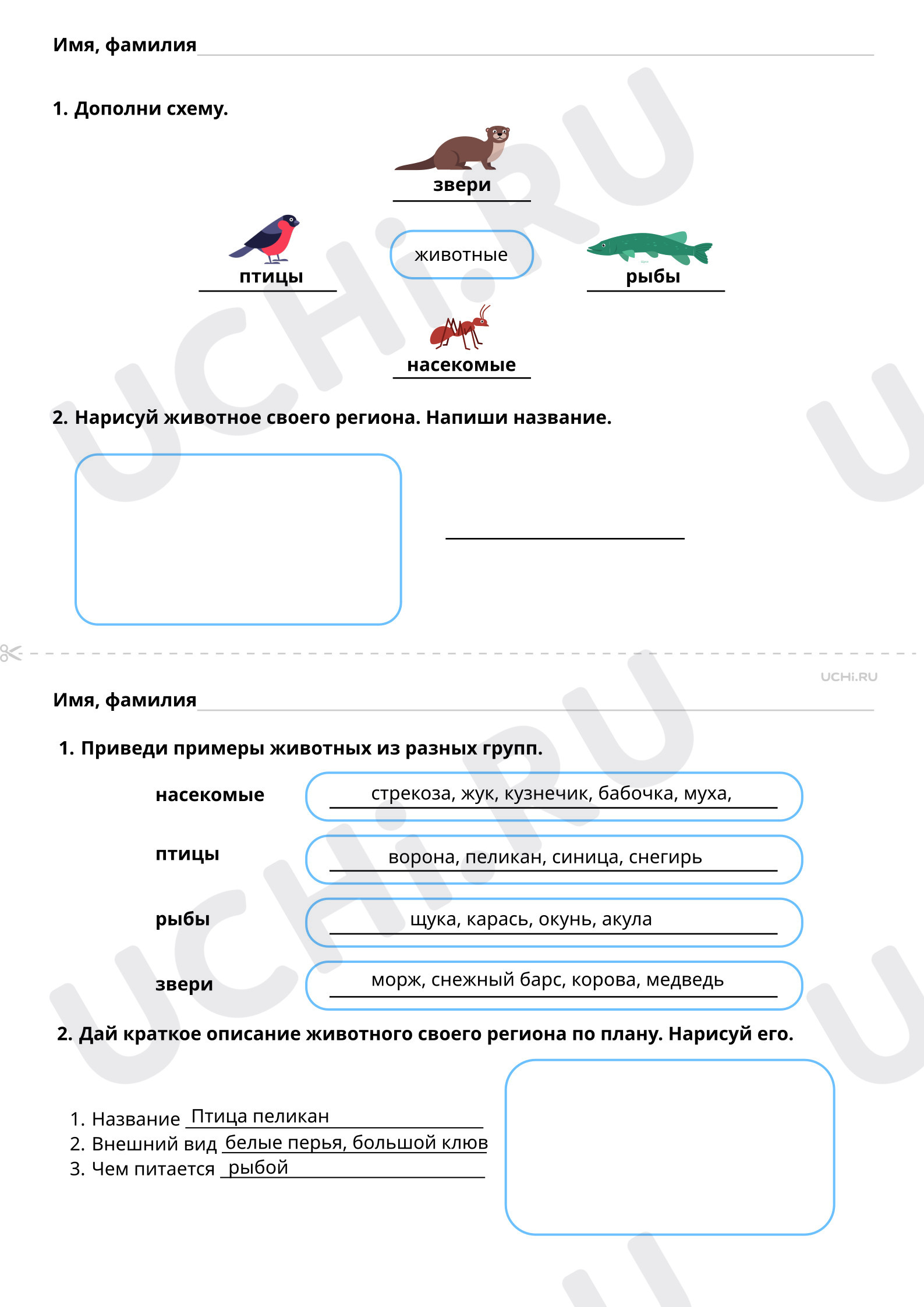 Ответы к рабочим листам по теме «Многообразие мира животных. Какие животные  живут в нашем регионе?»: Многообразие мира животных. Какие животные живут в  нашем регионе? | Учи.ру