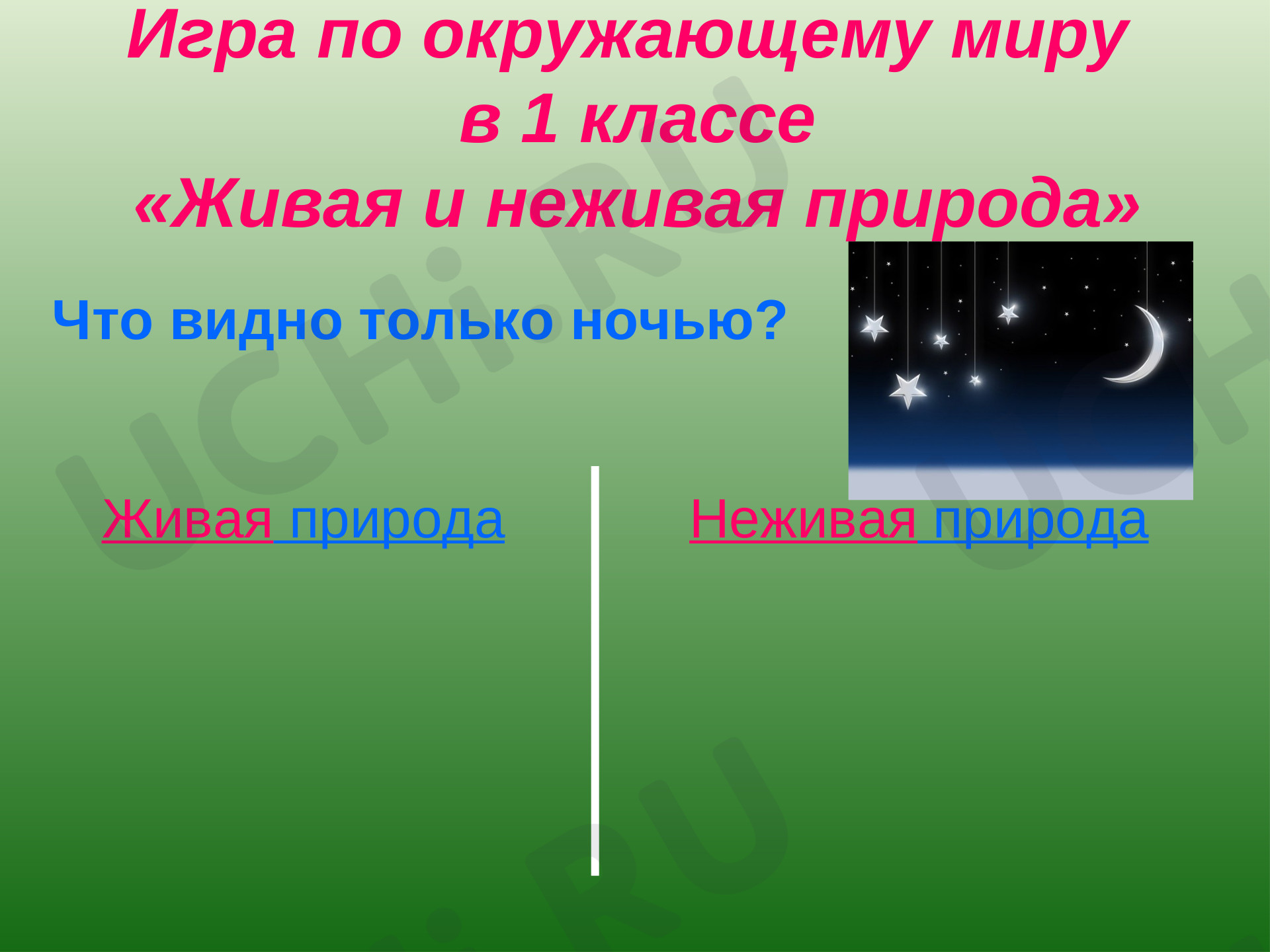 Живая и неживая природа 2 класс окружающий мир проверочная работа