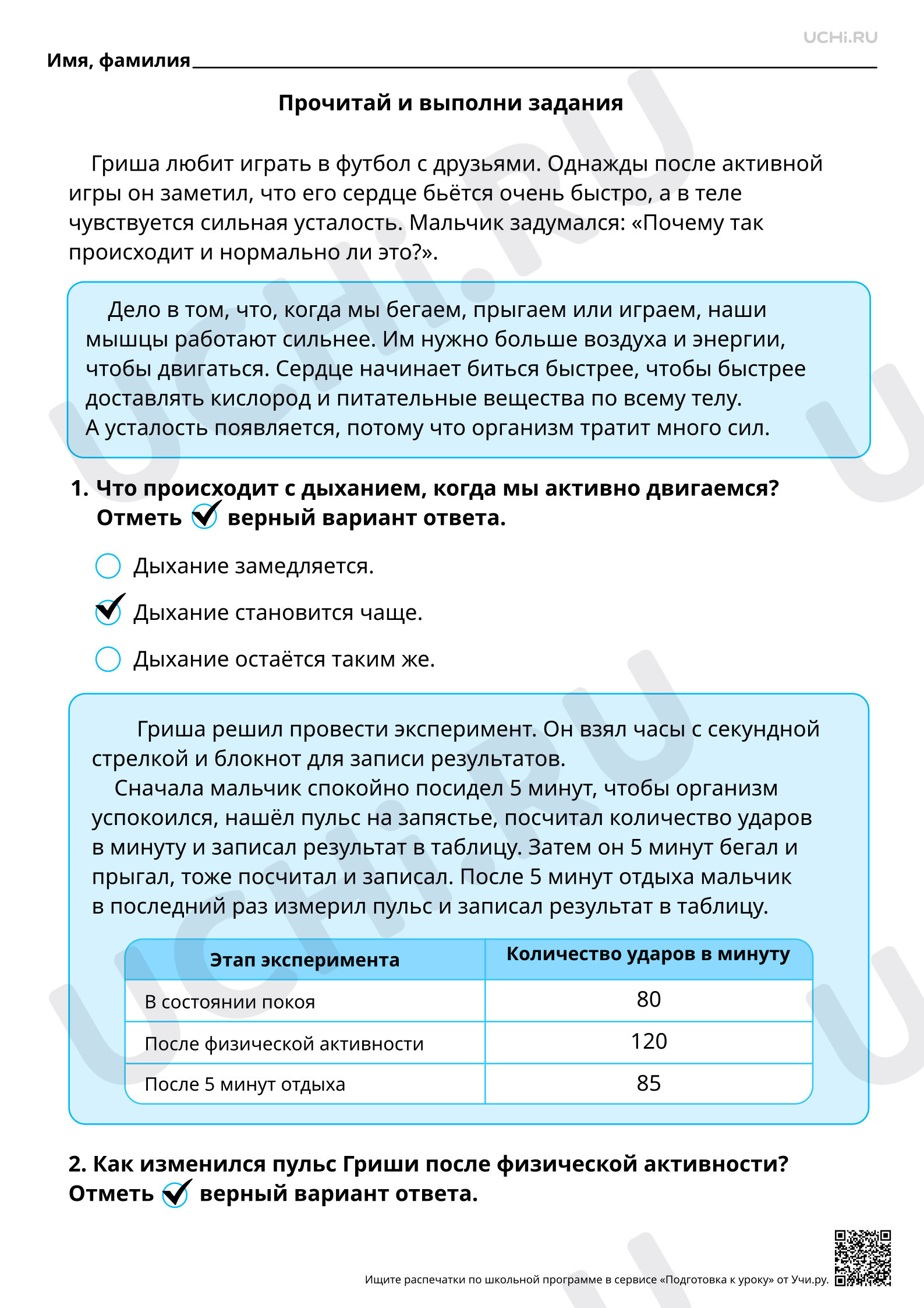 Предпросмотр материала Естественно-научная грамотность. Проводим эксперимент с пульсом. Ответы