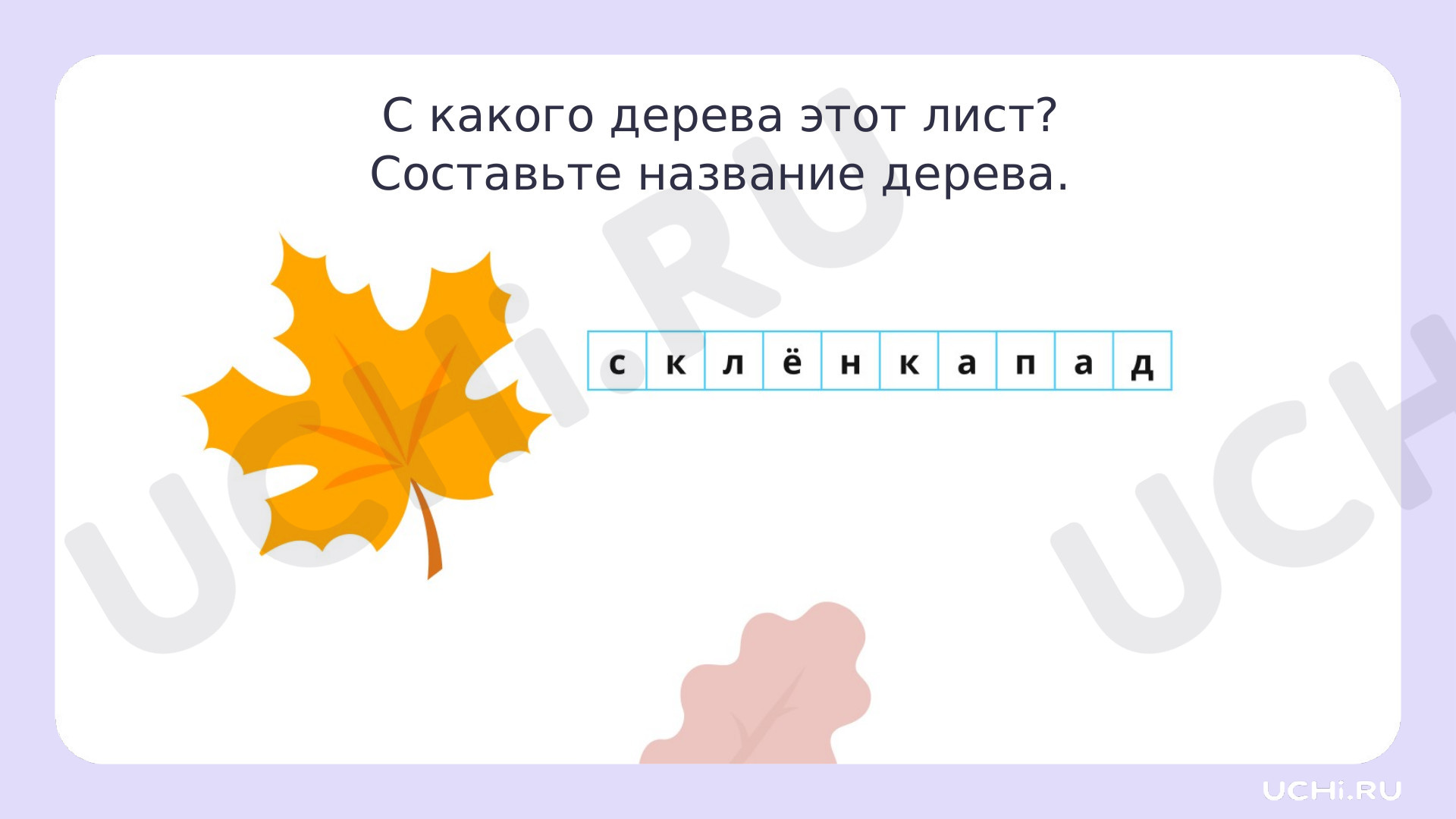 Рабочие листы по теме «Особенности лиственных растений: узнавание, краткое  описание. Лиственные деревья нашего края». Базовый уровень: Особенности  лиственных деревьев: узнавание, краткое описание. Лиственные деревья нашего  края | Учи.ру