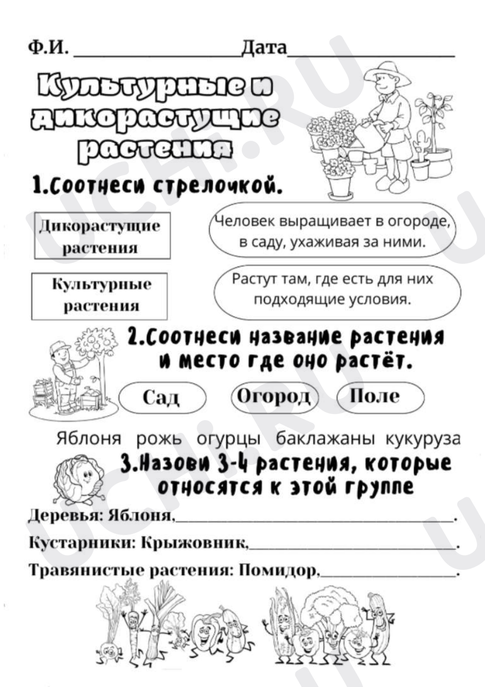 Предпросмотр материала Рабочий лист к уроку окружающего мира. Дикорастущие и культурные растения
