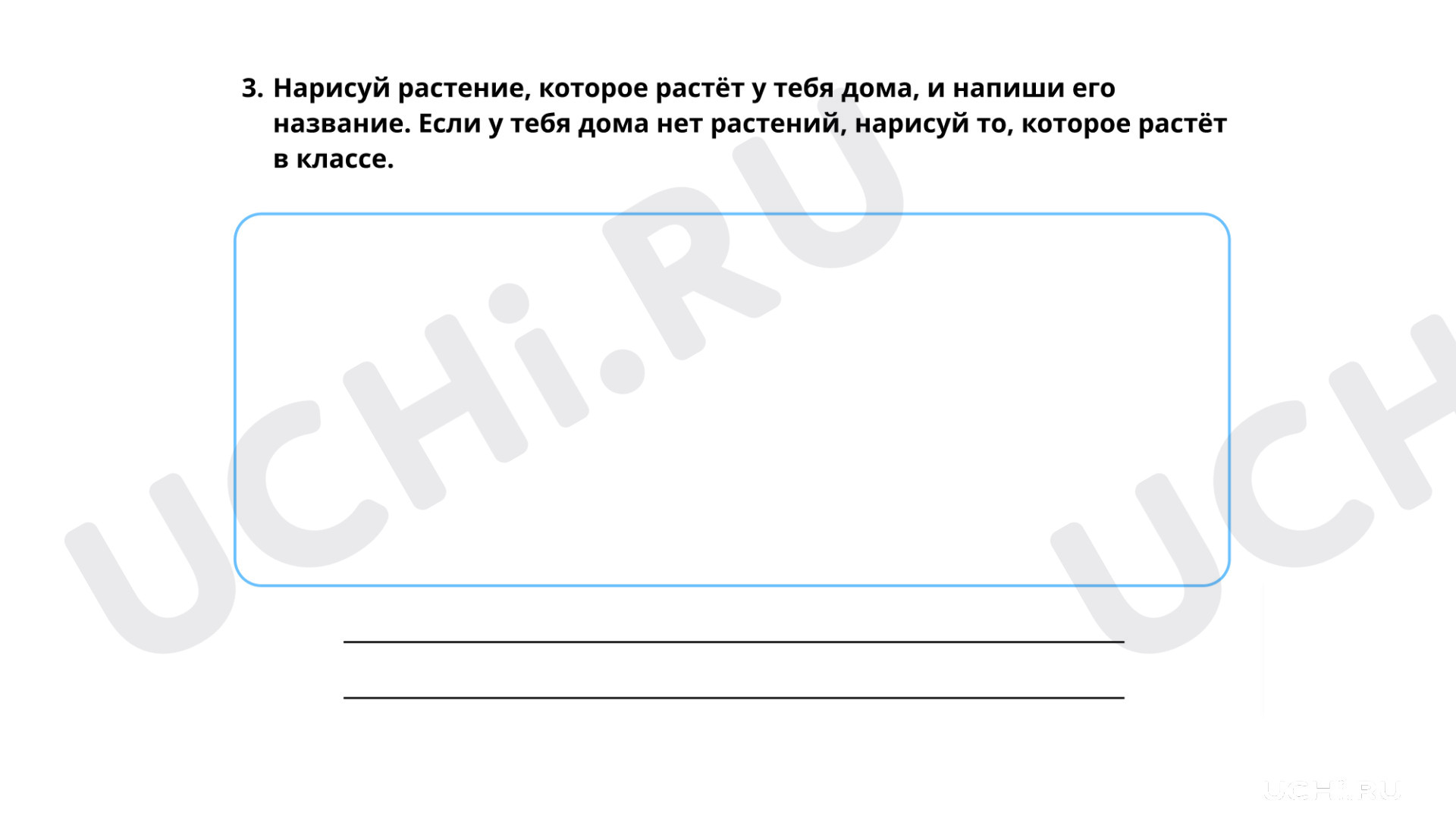 Окружающий мир для 1 четверти 1 класса. ЭОР | Подготовка к уроку от Учи.ру