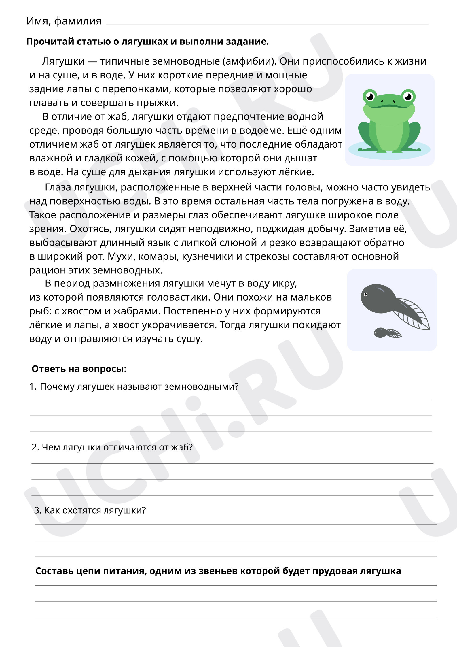 Предпросмотр материала Прочитай статью о лягушках и выполни задания