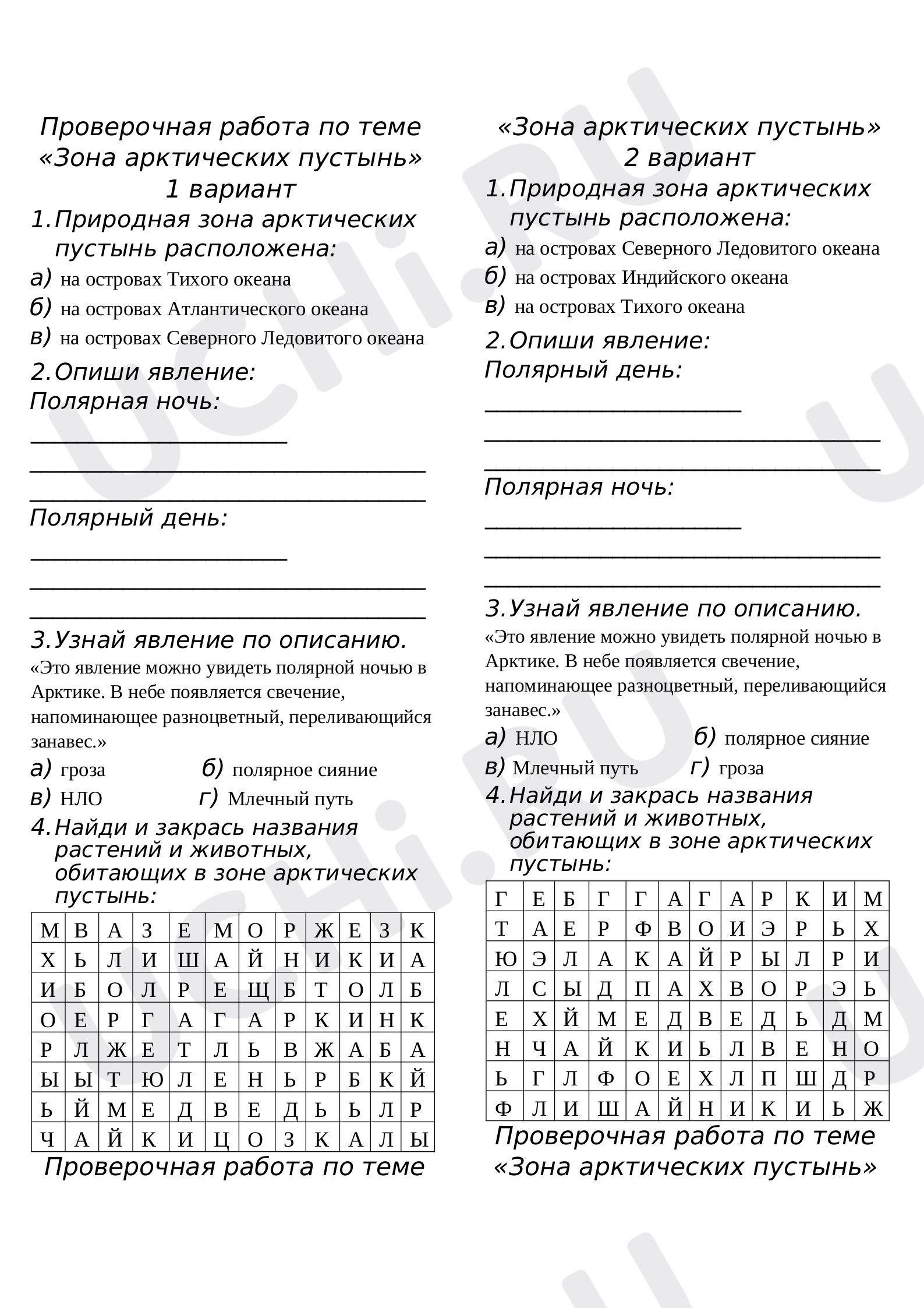Предпросмотр материала Окружающий мир. Проверочная работа Зона арктических пустынь.