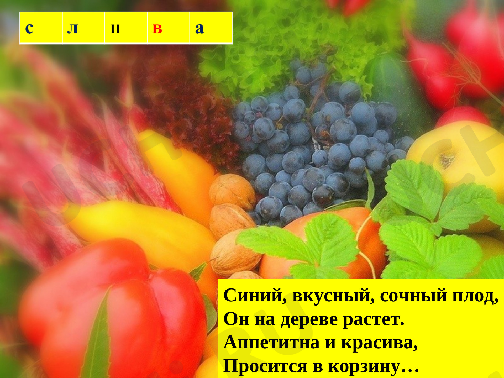 Предпросмотр материала Витамины