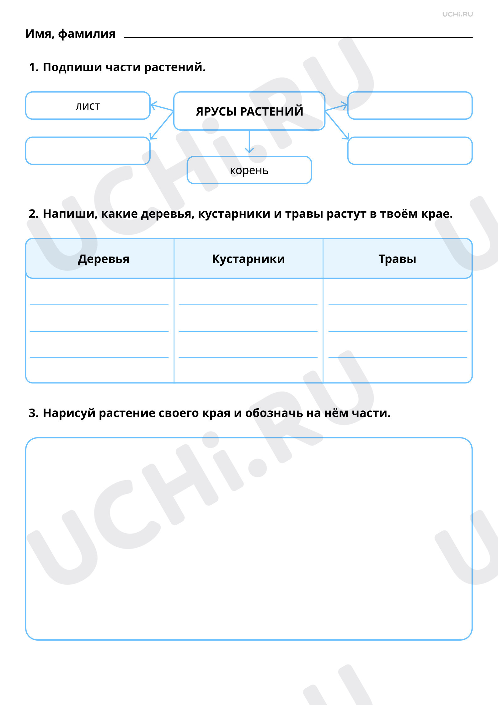 Предпросмотр материала Что мы знаем о растениях? Что общего у разных растений? Повышенный уровень