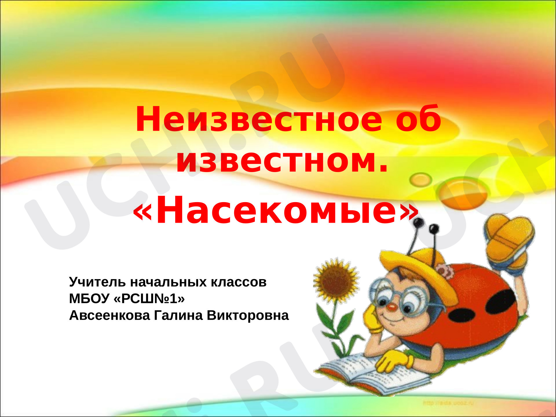 Предпросмотр материала Презентация к уроку окружающего мира. «Насекомые. Неизвестное об известном».