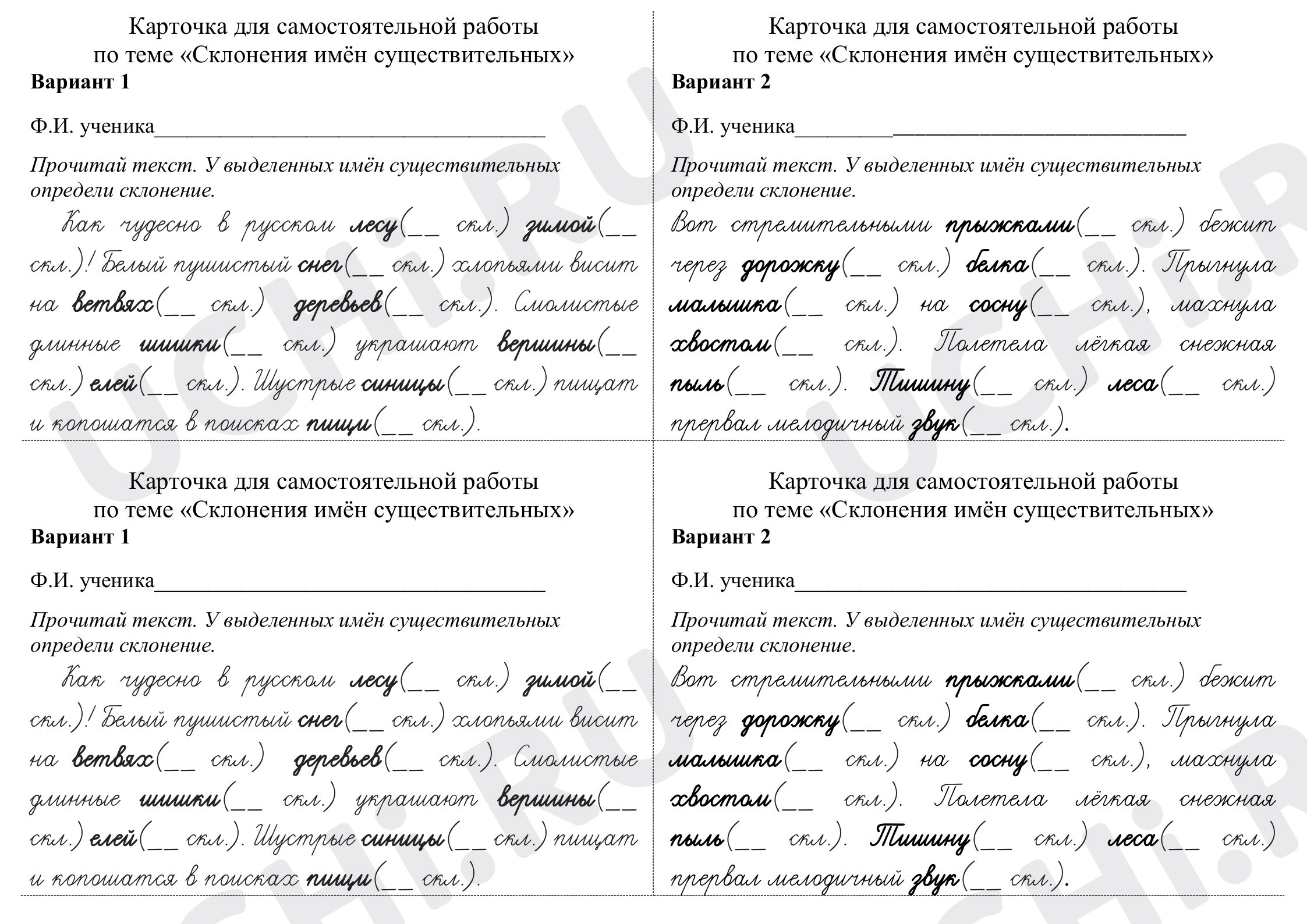 Предпросмотр материала Проверочная работа по теме "Склонения имён существительных"
