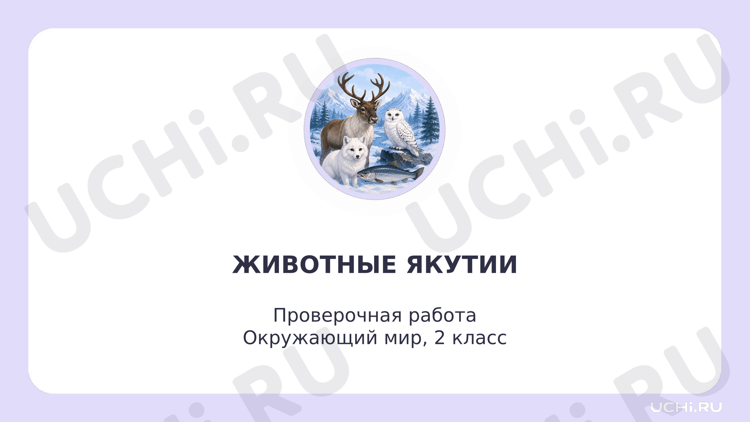 Предпросмотр материала Презентация к уроку. Животные Якутии. Проверочная работа. Окружающий мир. 2 класс