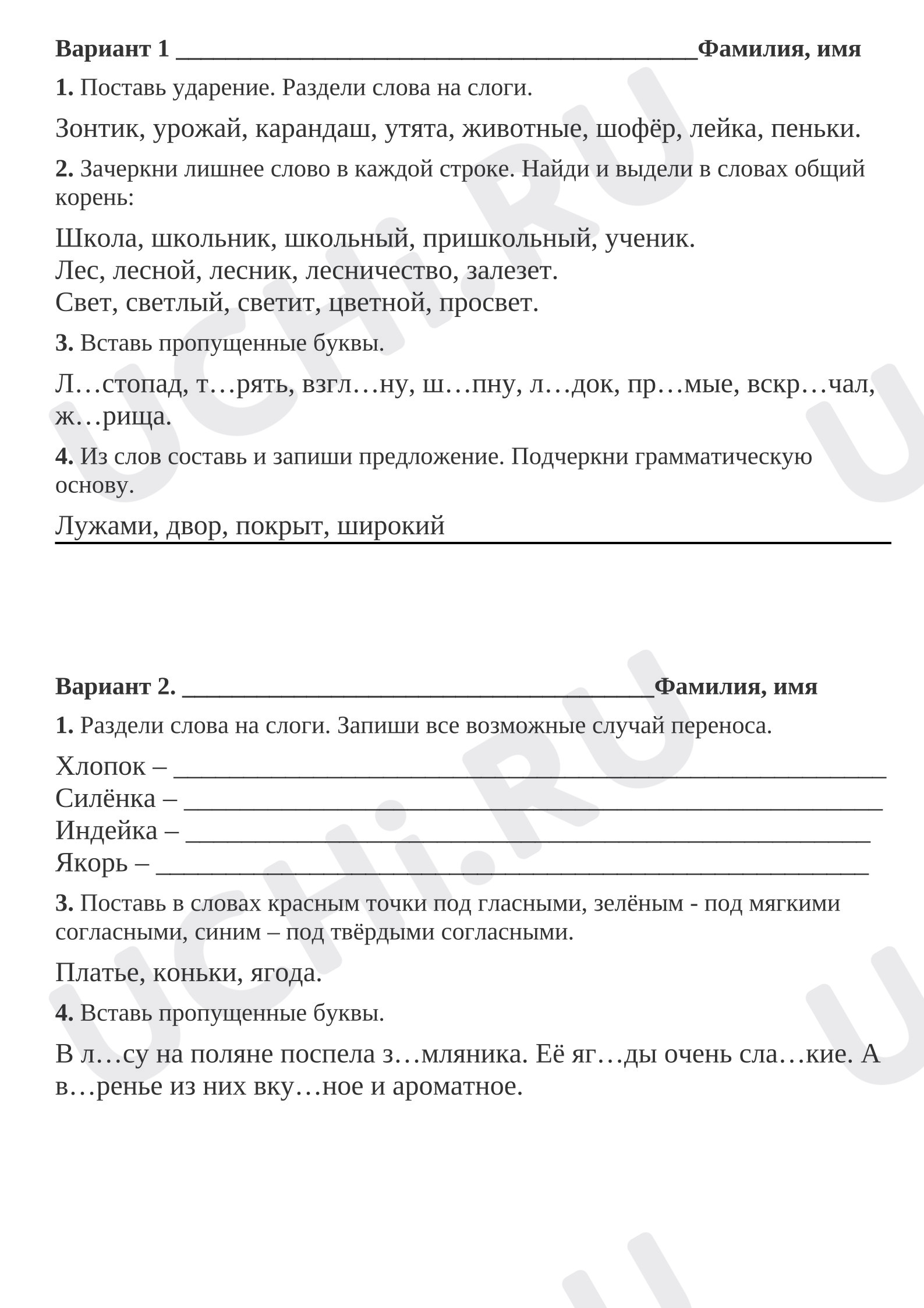 Предпросмотр материала Проверочная работа два варианта.