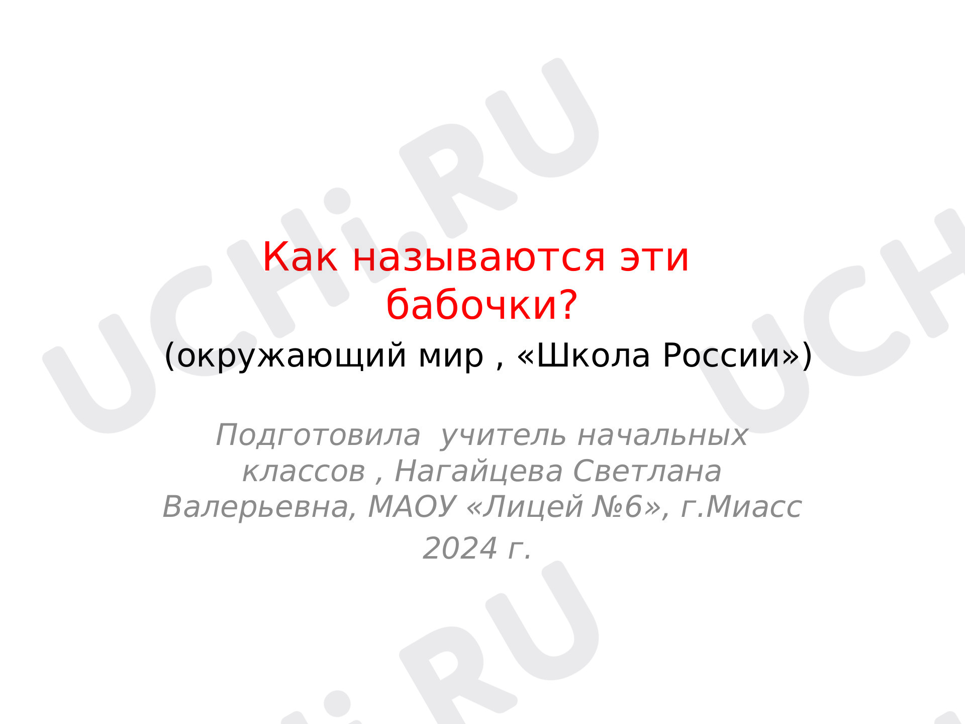 Предпросмотр материала Как называются эти бабочки
