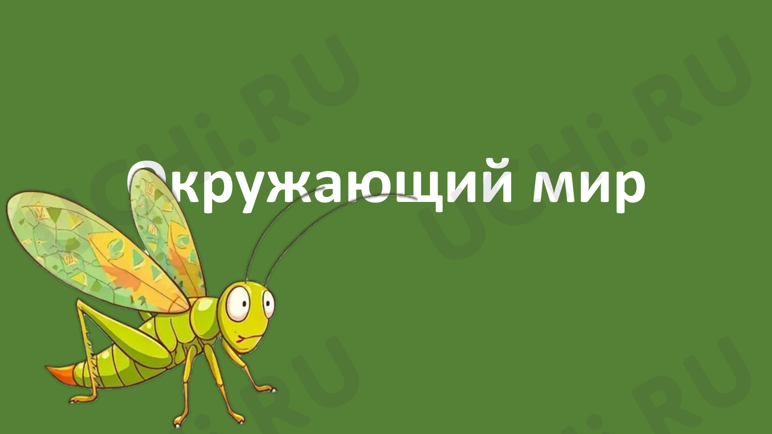 Предпросмотр материала Презентация к уроку окружающего мира «Какие бывают растения»