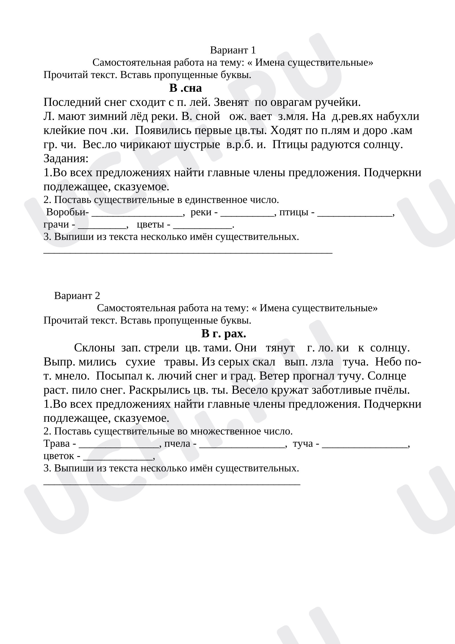 Предпросмотр материала Проверочная работа по русскому языку. Имя существительное.
