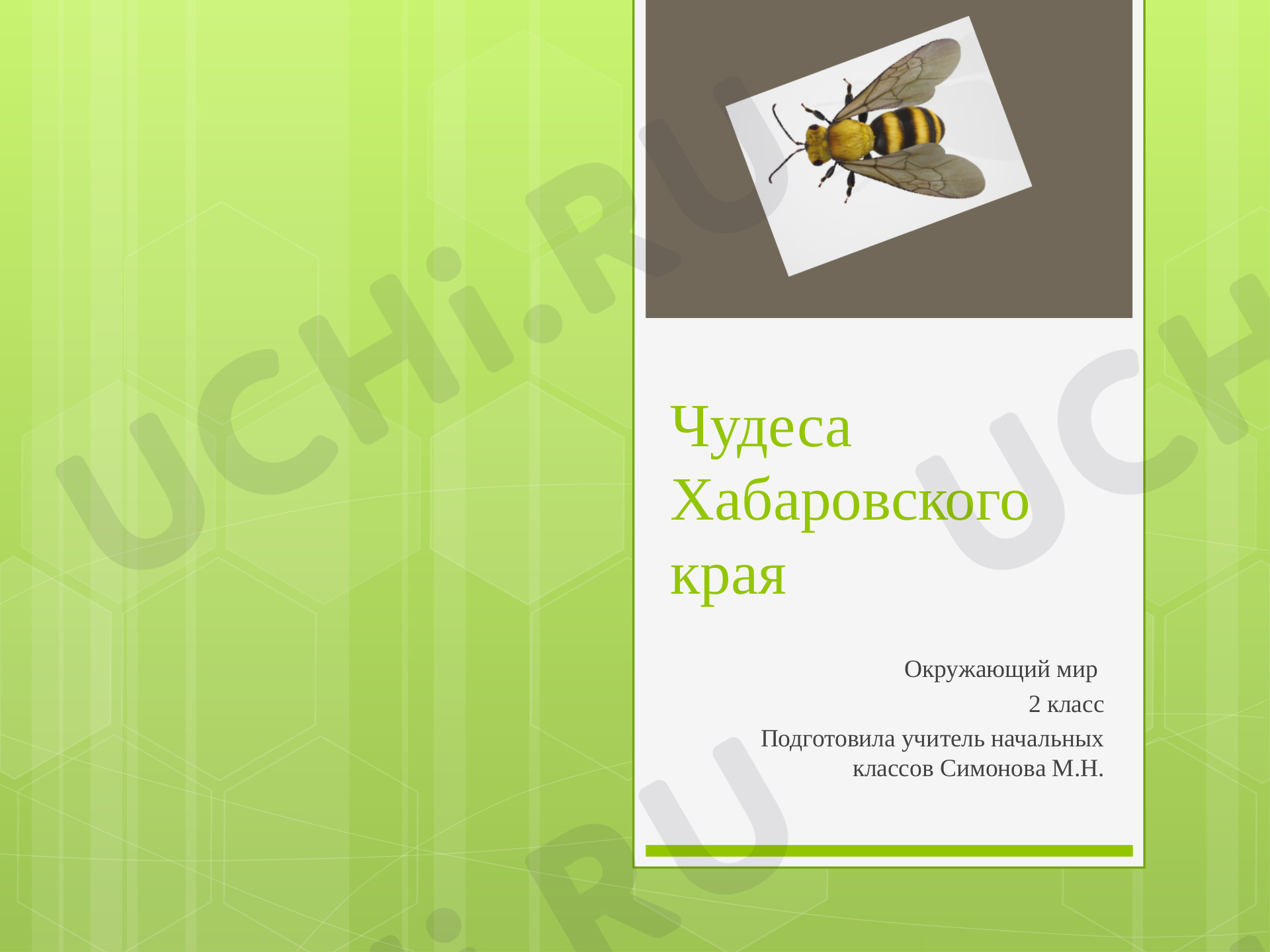 Предпросмотр материала Презентация. Родной край. Чудеса Хабаровского края.