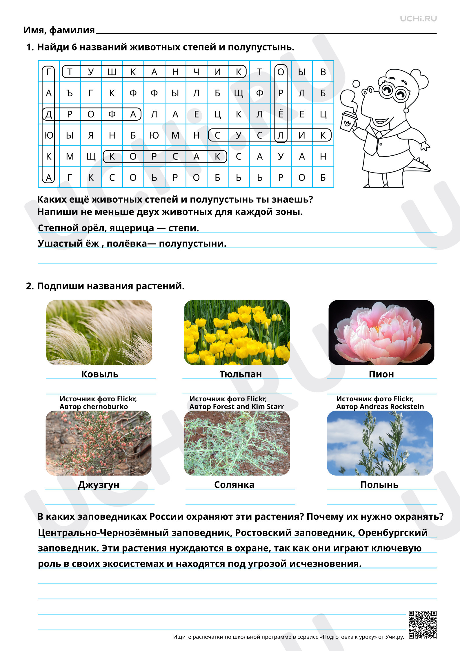 Предпросмотр материала Характеристика природных зон России: степь и полупустыня. Связи в природной зоне. Ответы.