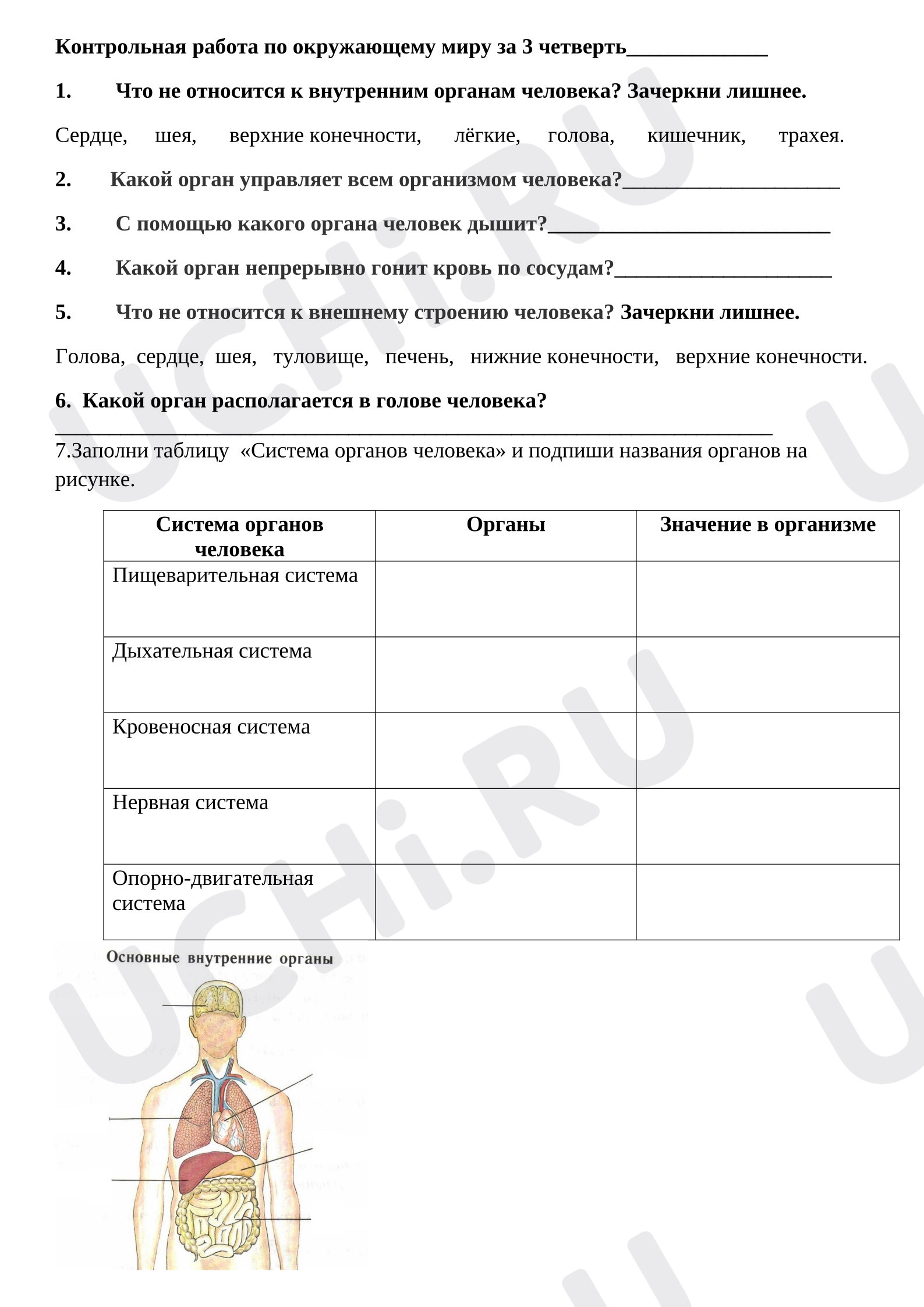 Предпросмотр материала Контрольная работа по окружающему миру за 3 четверть