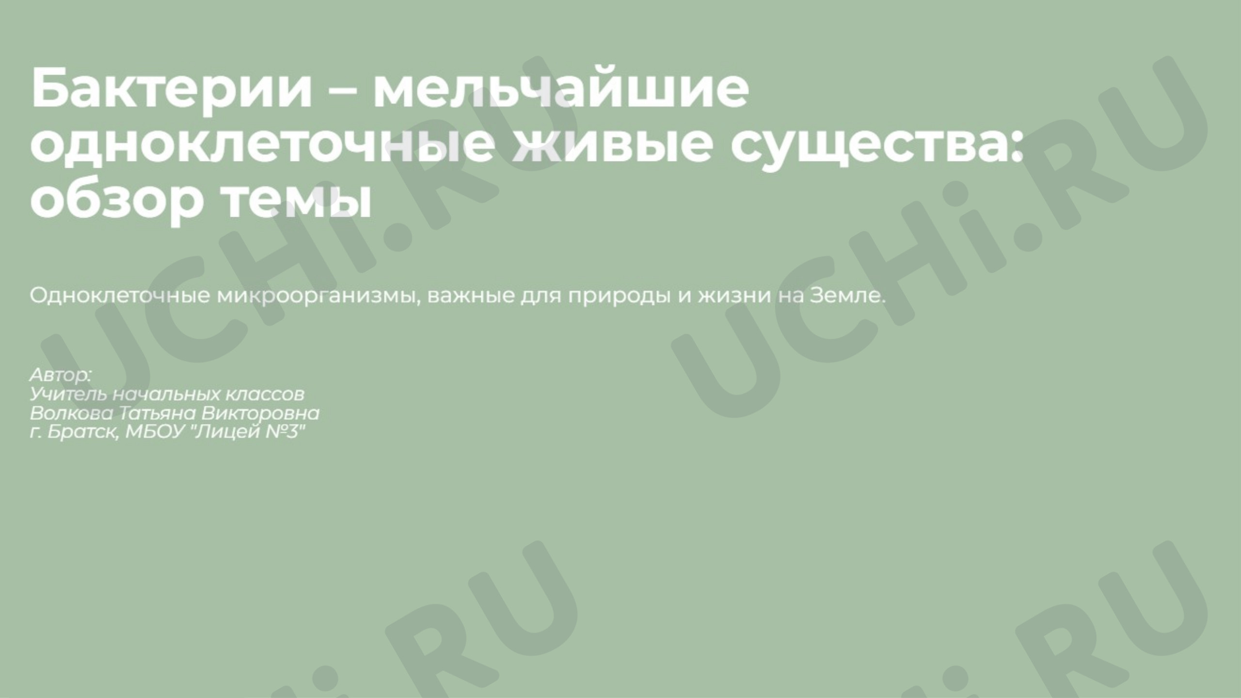 Предпросмотр материала Презентация к уроку окружающего мира. Бактерии - мельчайшие одноклеточные живые существа: обзор темы