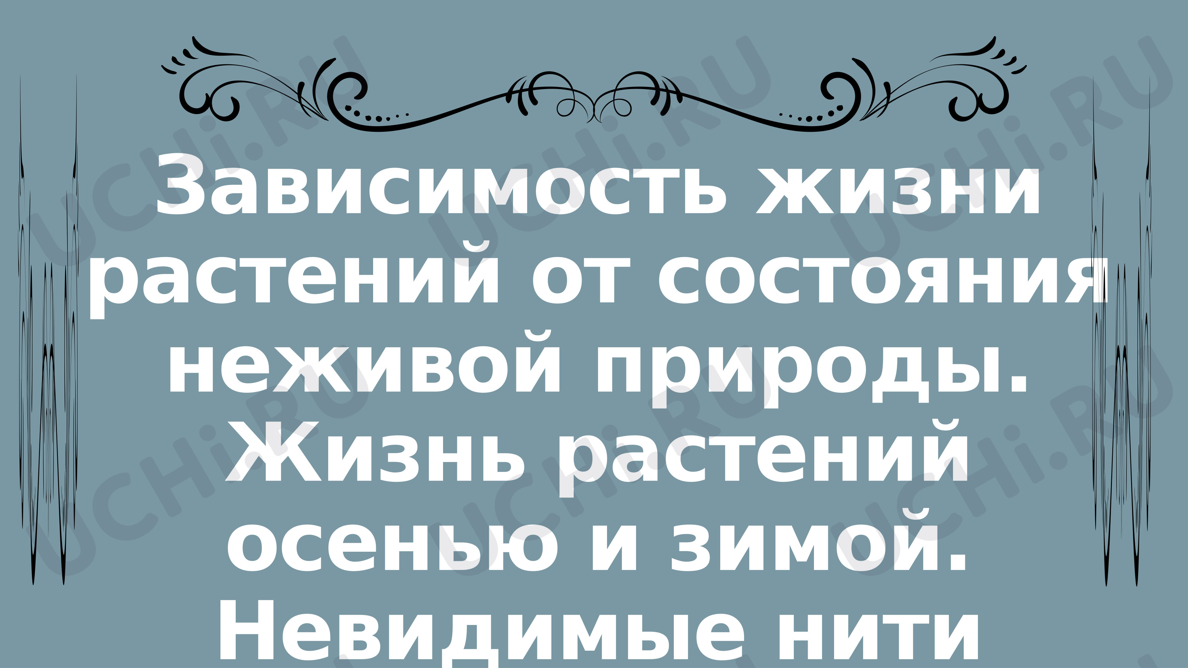 Предпросмотр материала Презентация к уроку окружающего мира. Зависимость жизни растений от состояния неживой природы. Жизнь растений осенью и зимой. Невидимые нити природы