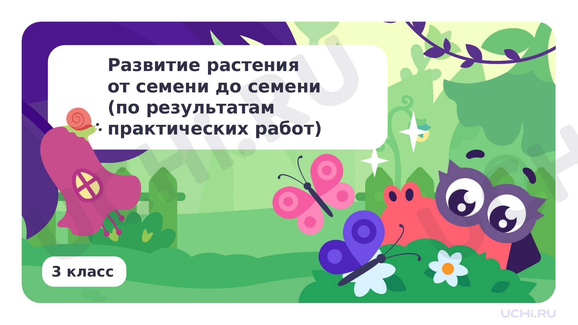 Предпросмотр материала Развитие растения от семени до семени (по результатам практических работ)
