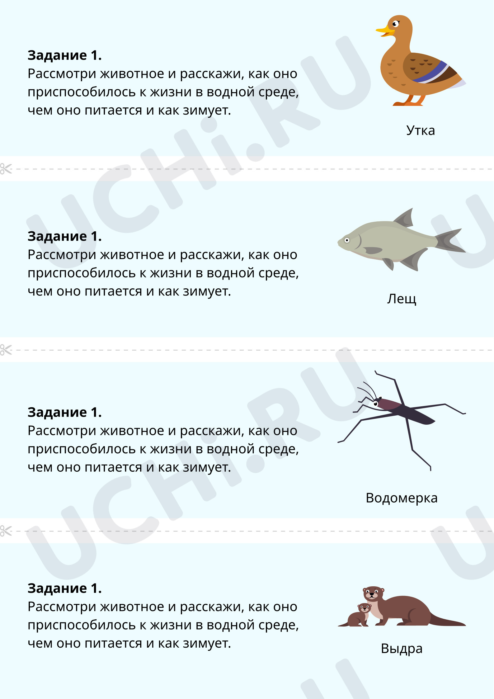 Предпросмотр материала Составление рассказа о животных пресного водоёма