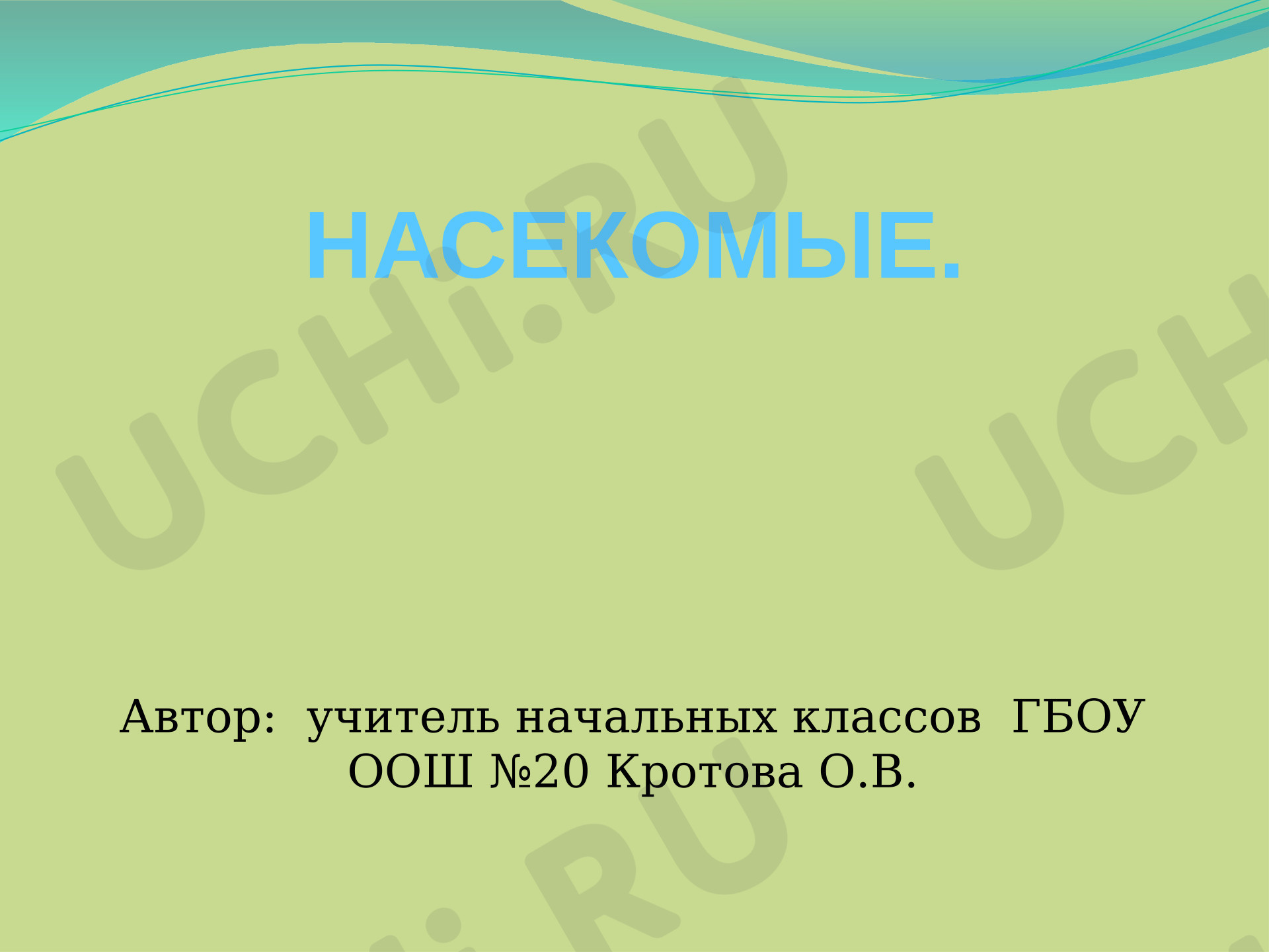 Предпросмотр материала Презентация к уроку окружающего мира. Насекомые.