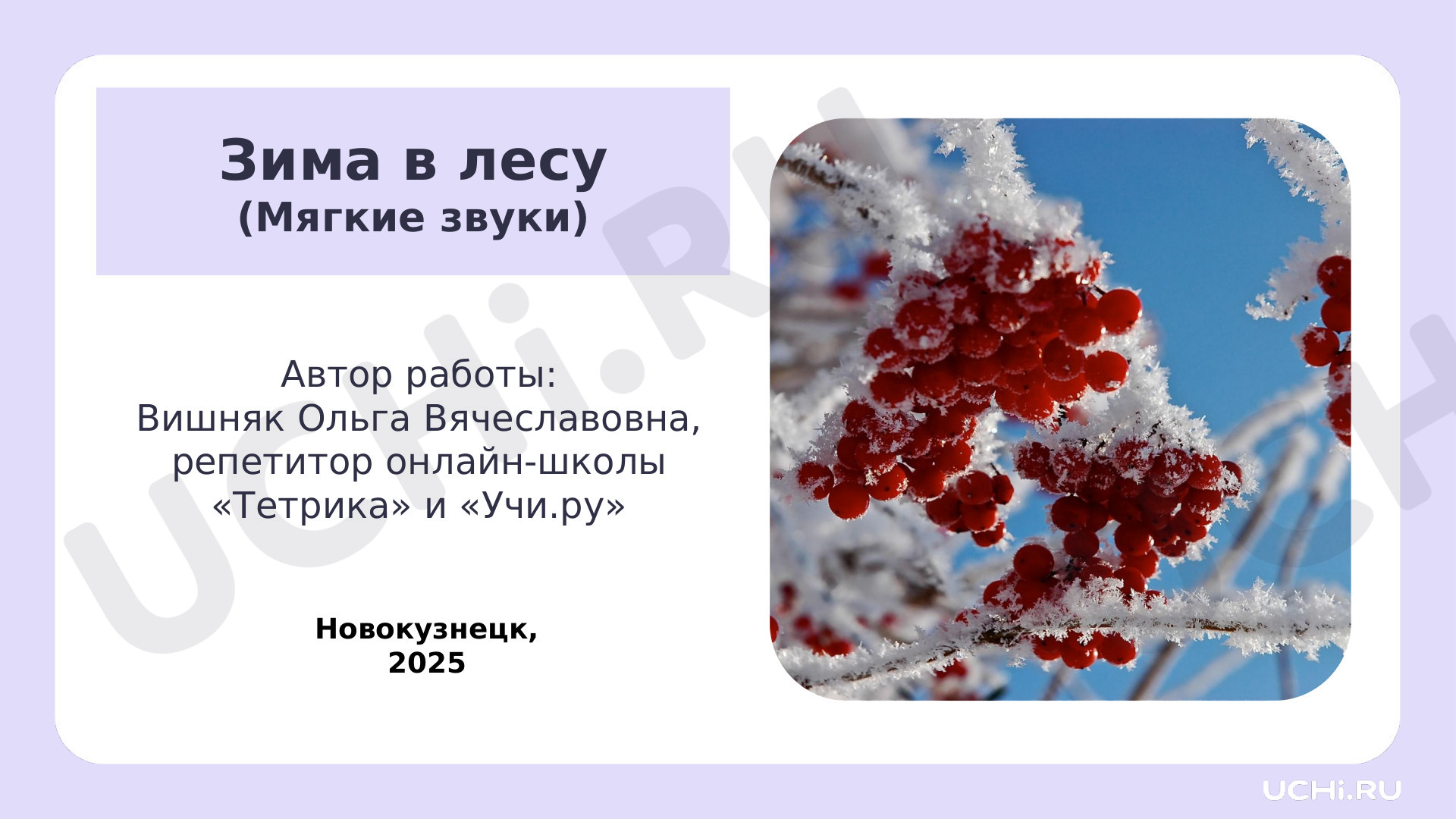 Предпросмотр материала Зима в лесу (мягкие звуки)