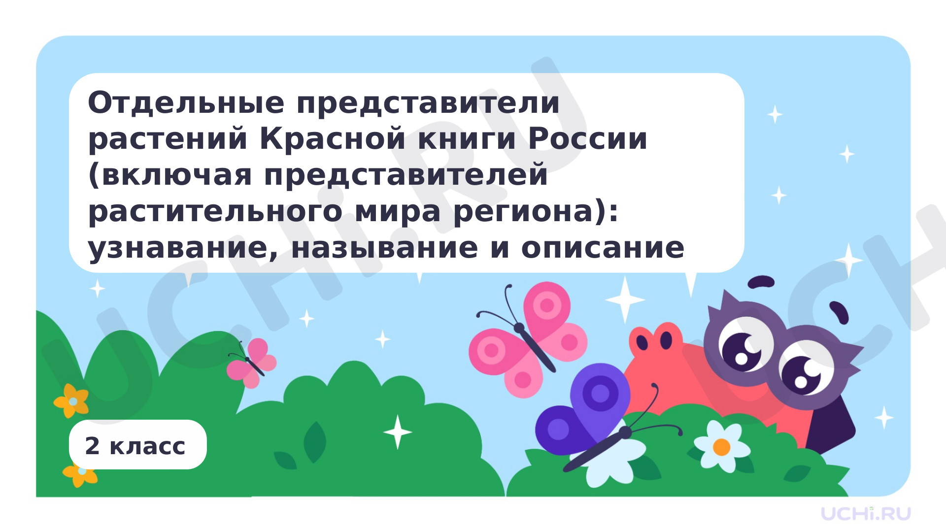Предпросмотр материала Отдельные представители растений Красной книги России (включая представителей растительного мира региона): узнавание, называние и описание