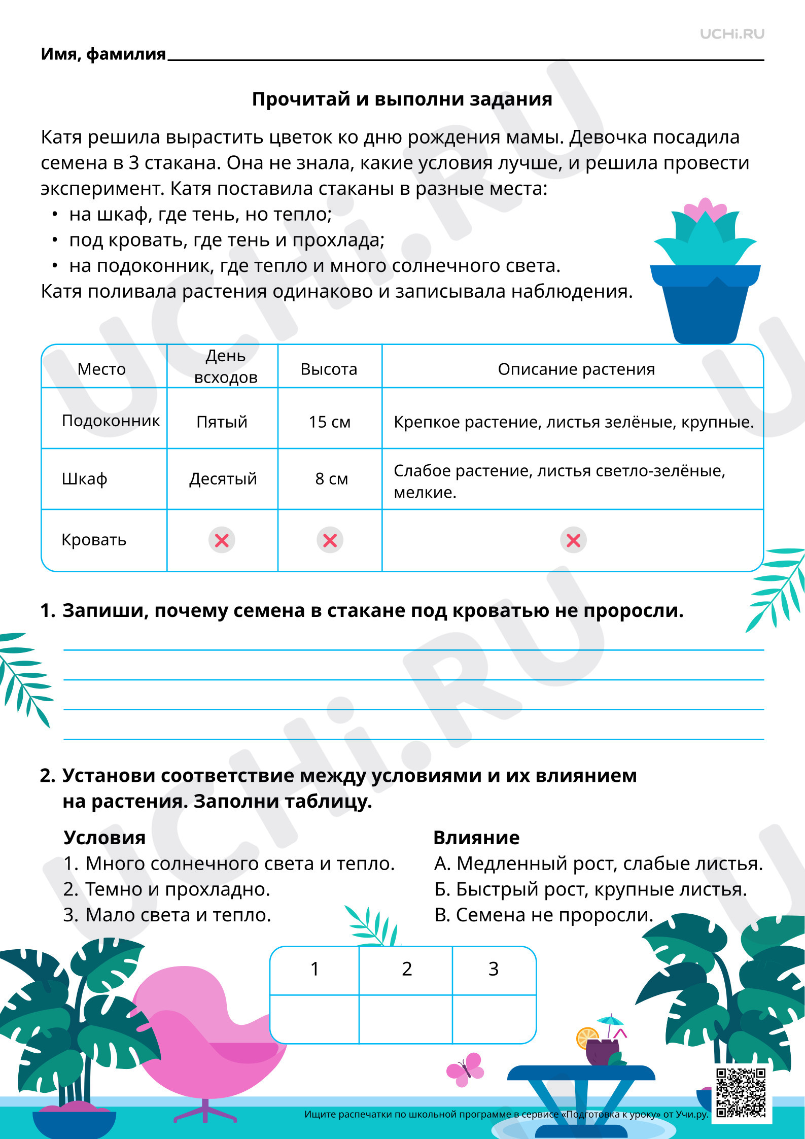 Предпросмотр материала Естественно-научная грамотность. Выращивание растения в домашних условиях.