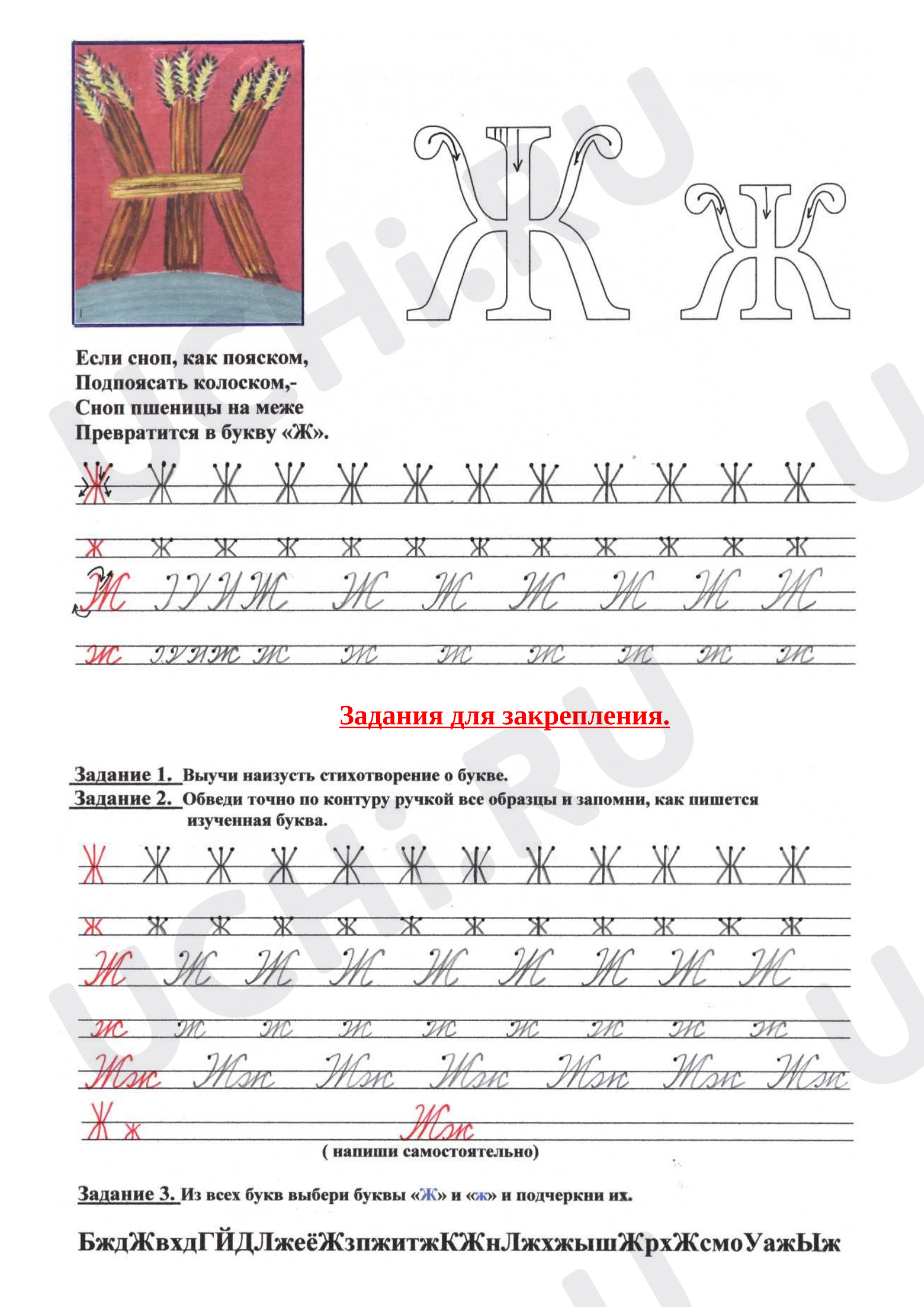Предпросмотр материала Рабочие листы к уроку обучения грамоте. Буква Ж