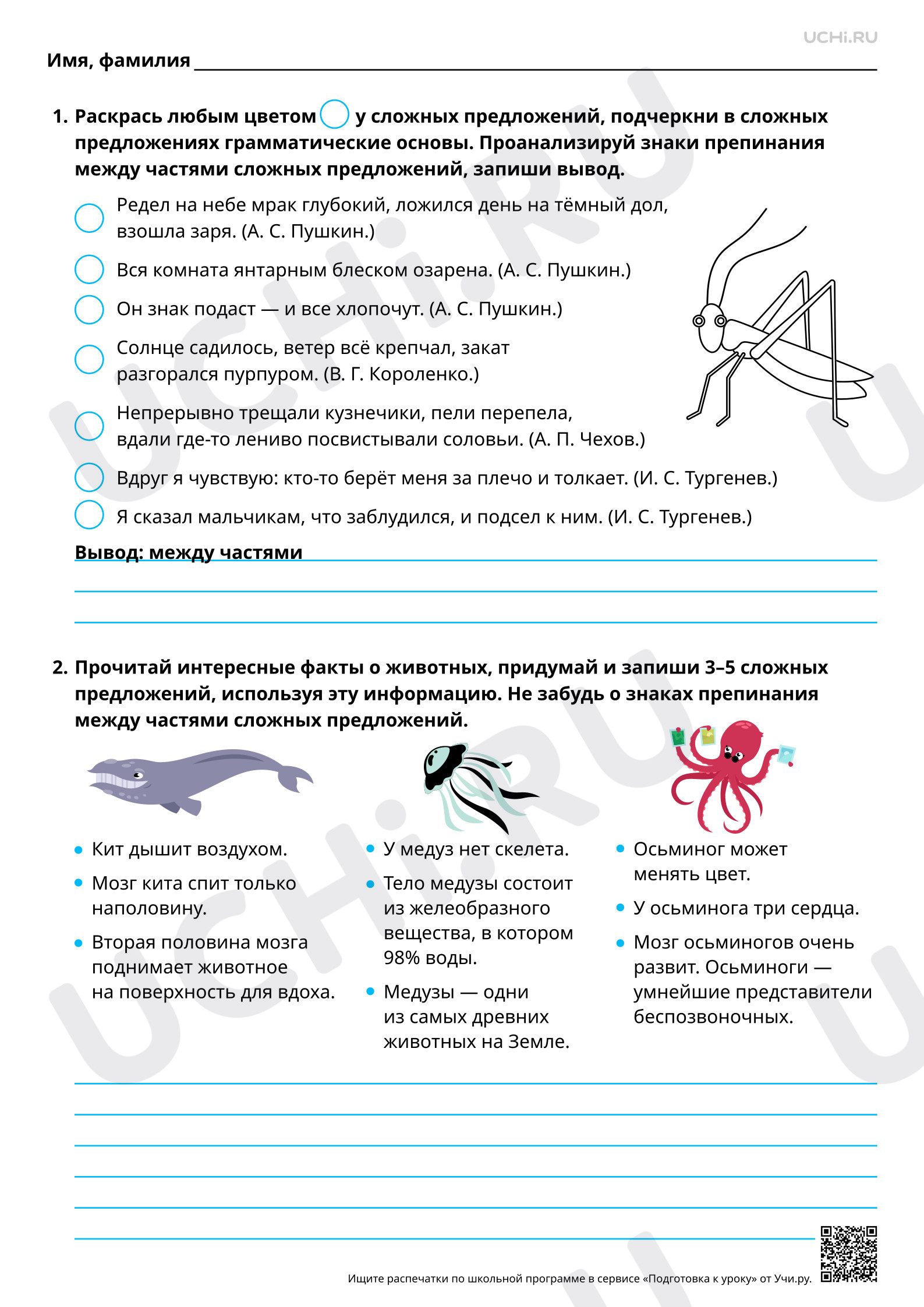 Предпросмотр материала Сложные предложения. Повышенный уровень