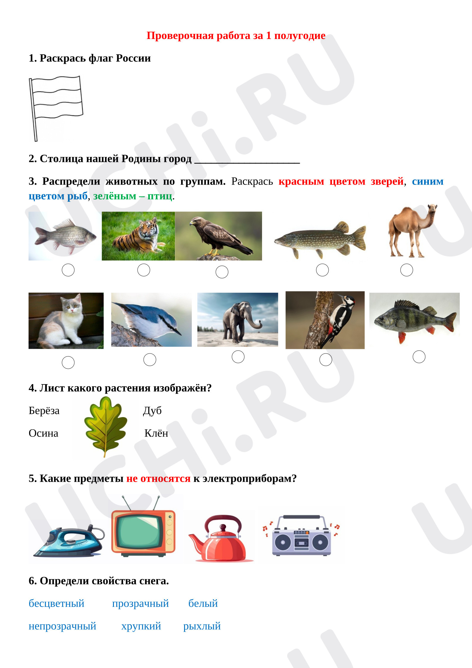 Предпросмотр материала Проверочная работа к уроку окружающего мира за 1 полугодие