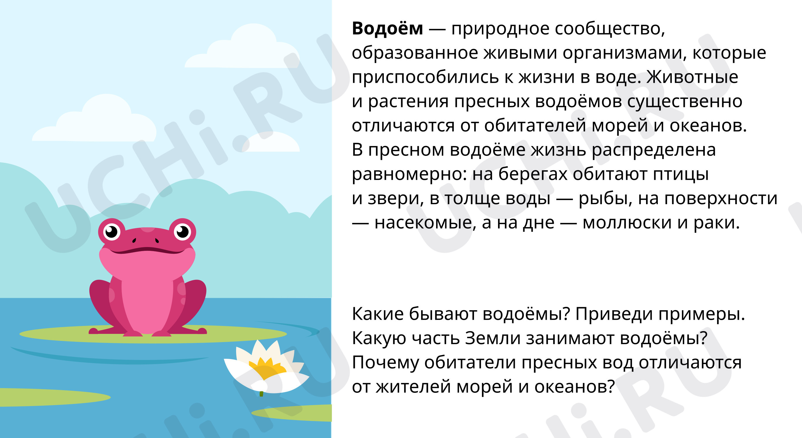 Предпросмотр материала Особенности пресных водоёмов