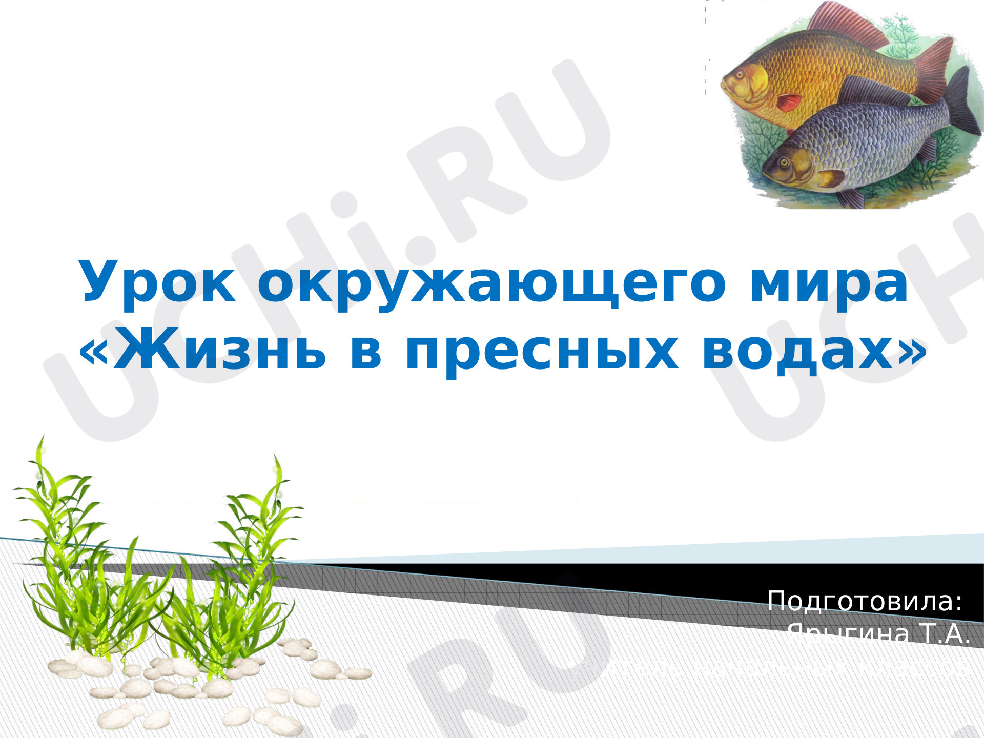 Предпросмотр материала Жизнь в пресных водах