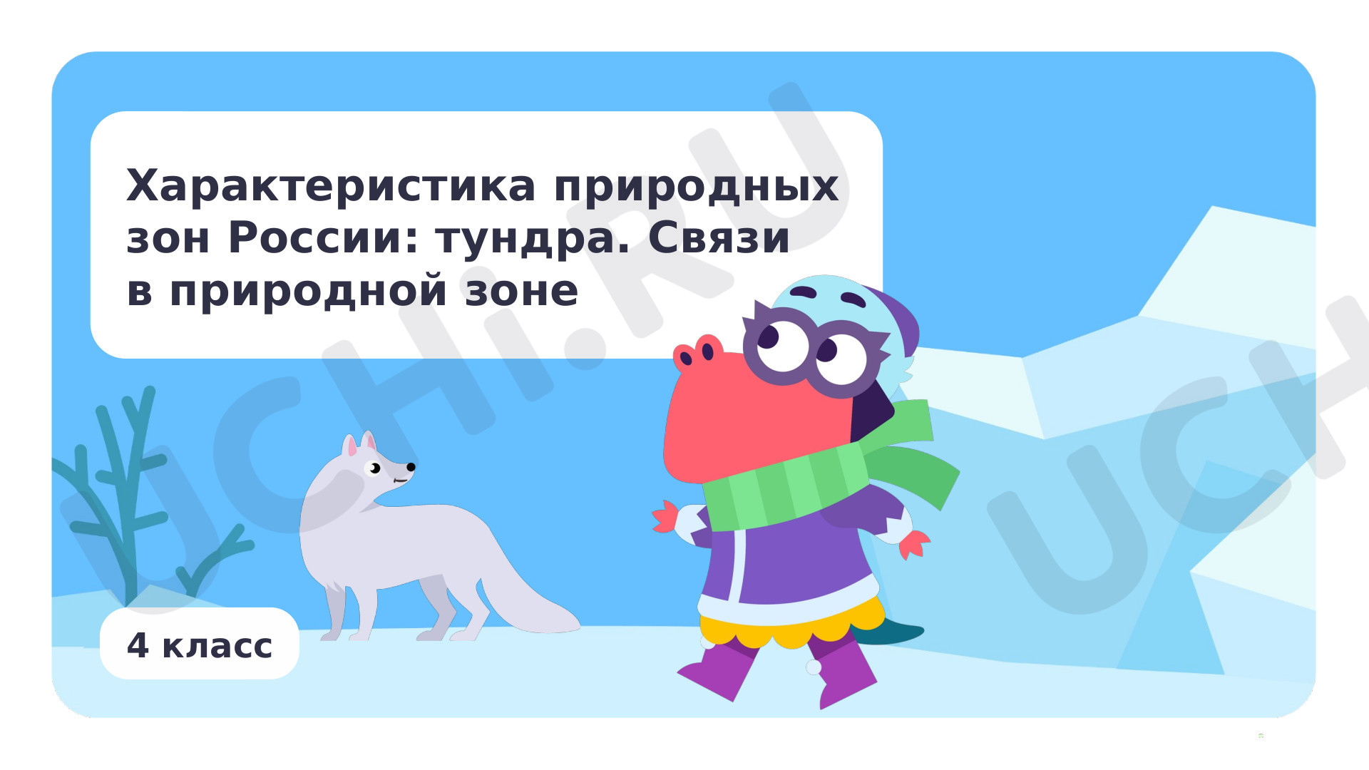 Предпросмотр материала Характеристика природных зон России: тундра. Связи в природной зоне
