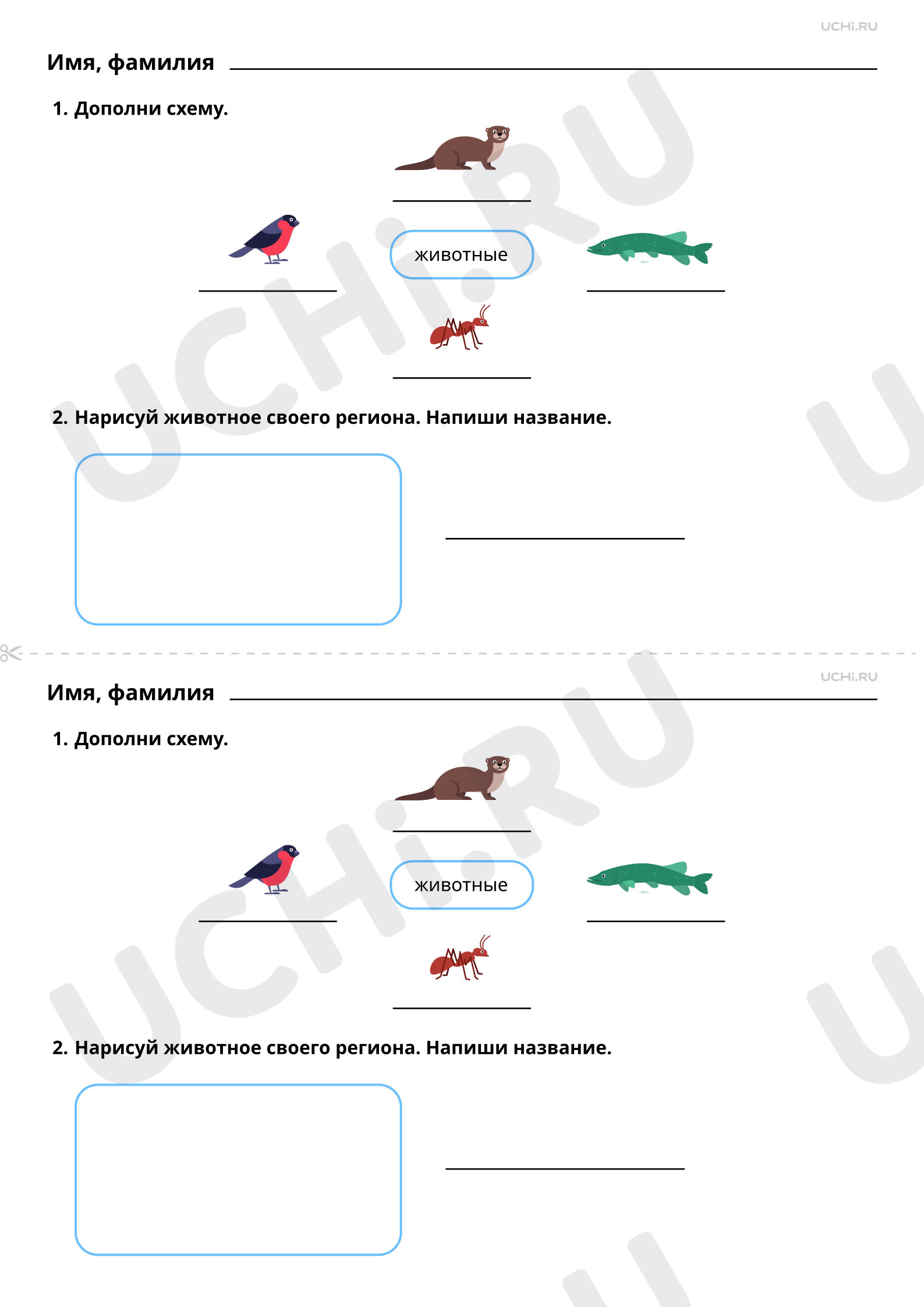 Рабочие листы по теме «Многообразие мира животных. Какие животные живут в  нашем регионе?». Базовый уровень: Многообразие мира животных. Какие животные  живут в нашем регионе? | Учи.ру