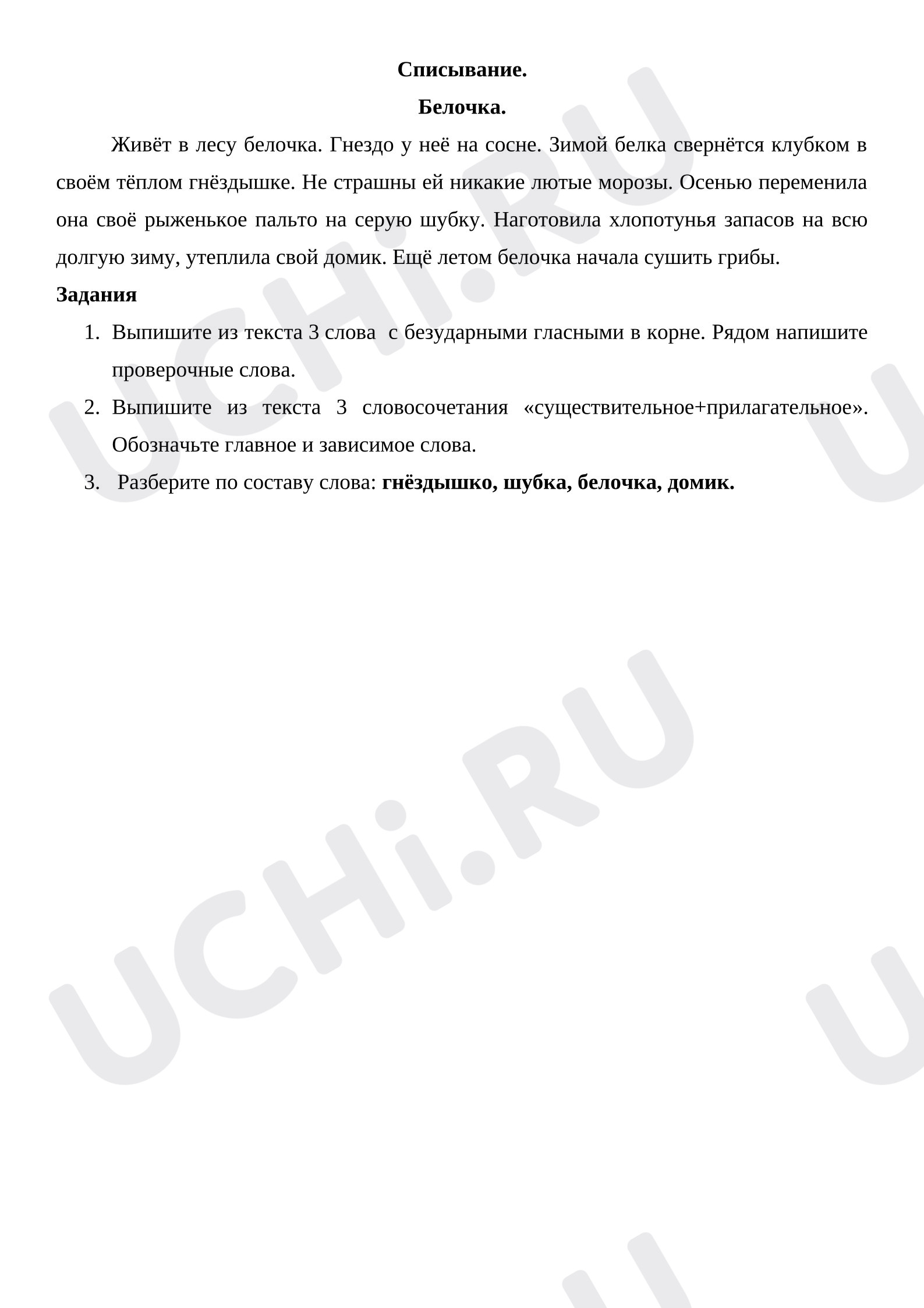 Предпросмотр материала Проверочная работа к уроку русского языка. Списывание «Белочка».