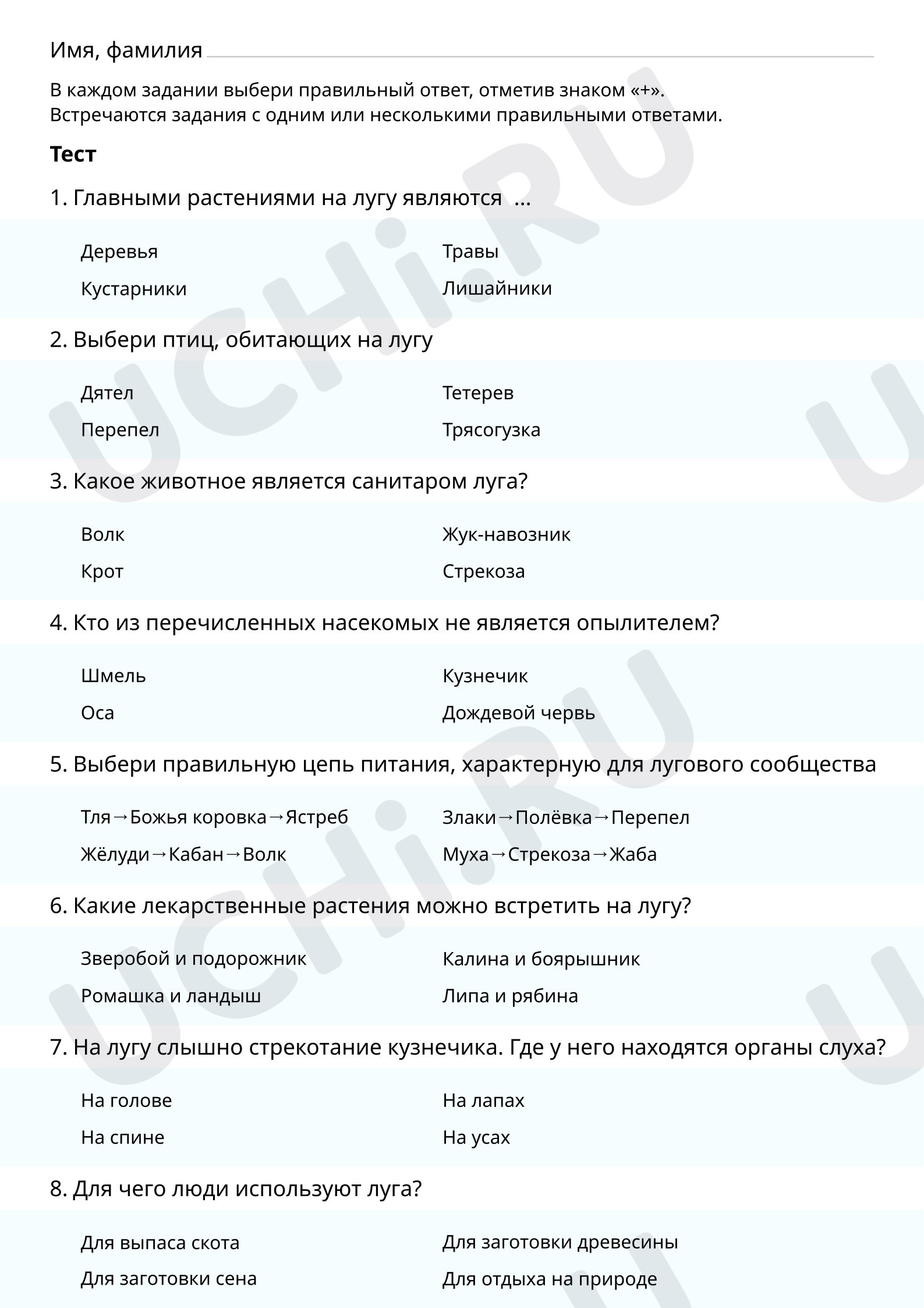 Предпросмотр материала Луг
